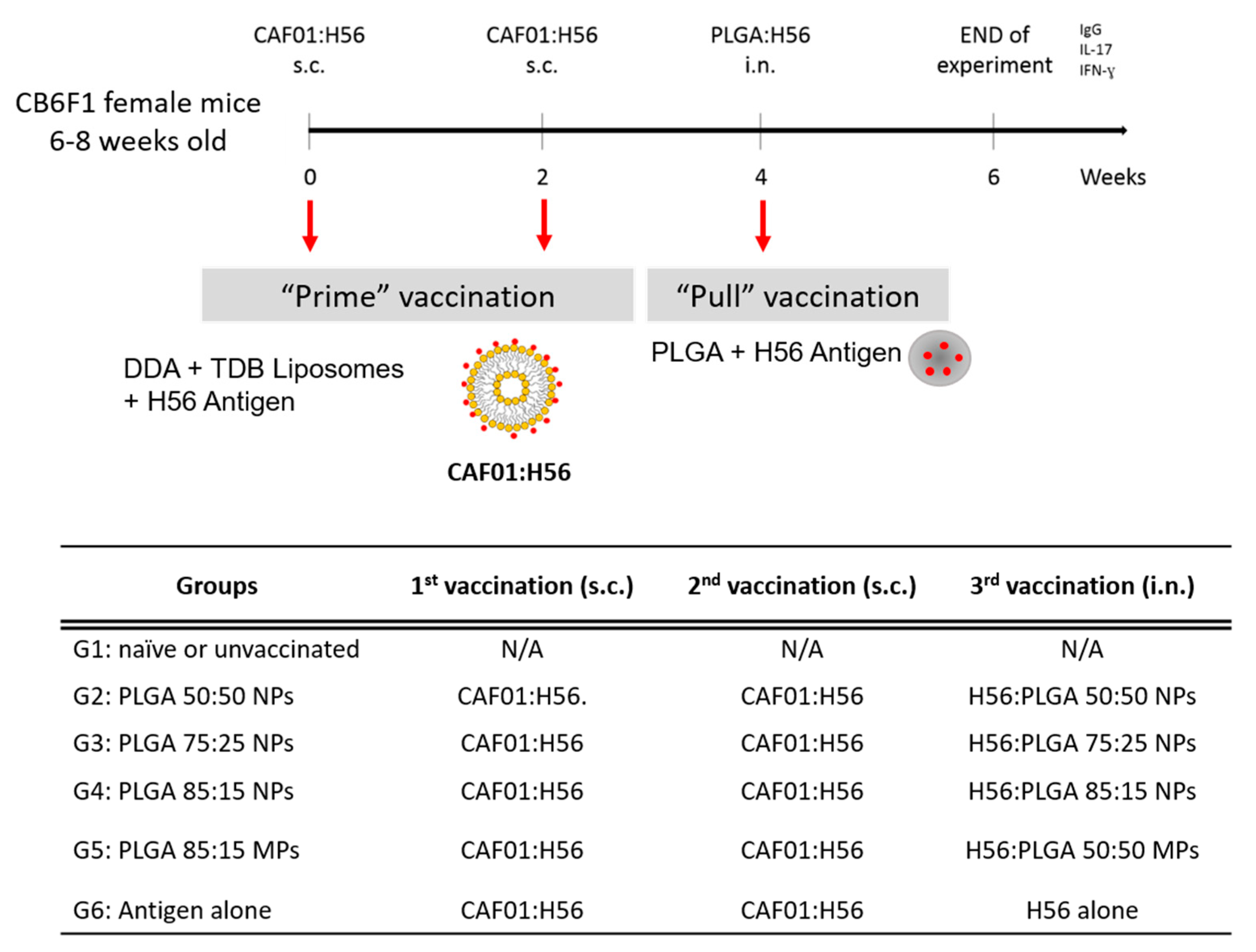 Vaccines 08 00010 g001 Vaccines 08 00010 g001