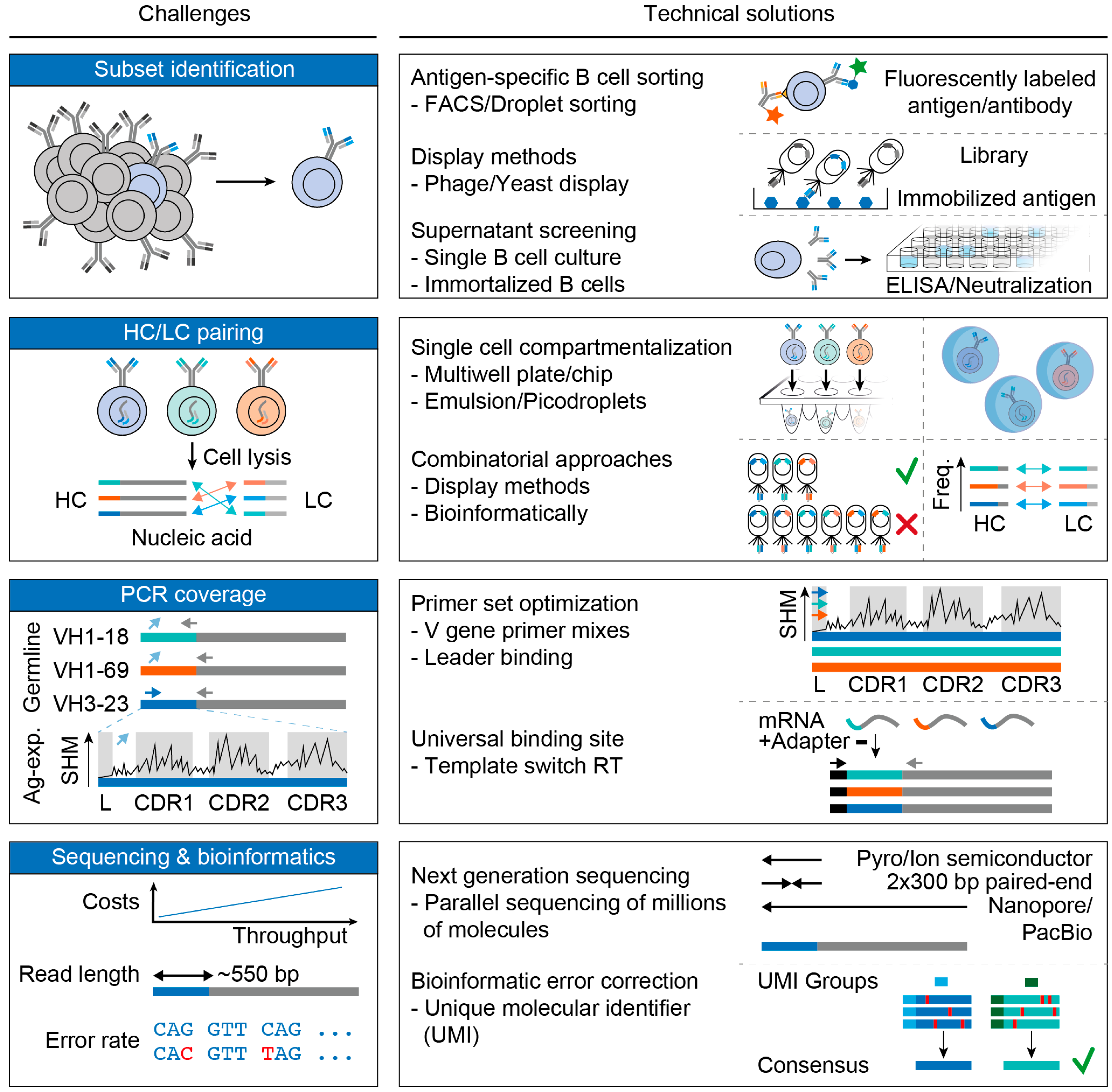 Vaccines 08 00013 g003 Vaccines 08 00013 g003