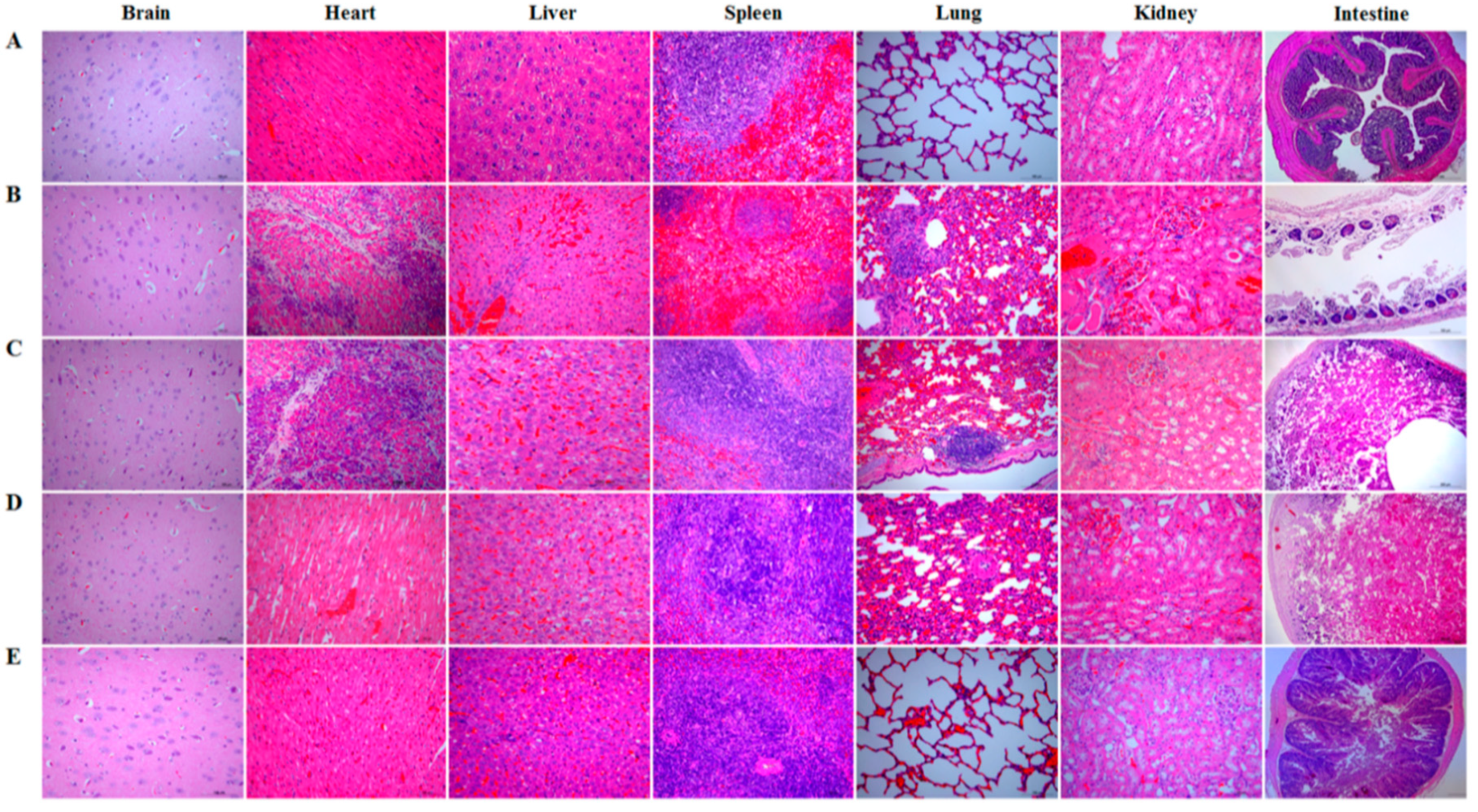 Vaccines 08 00017 g008