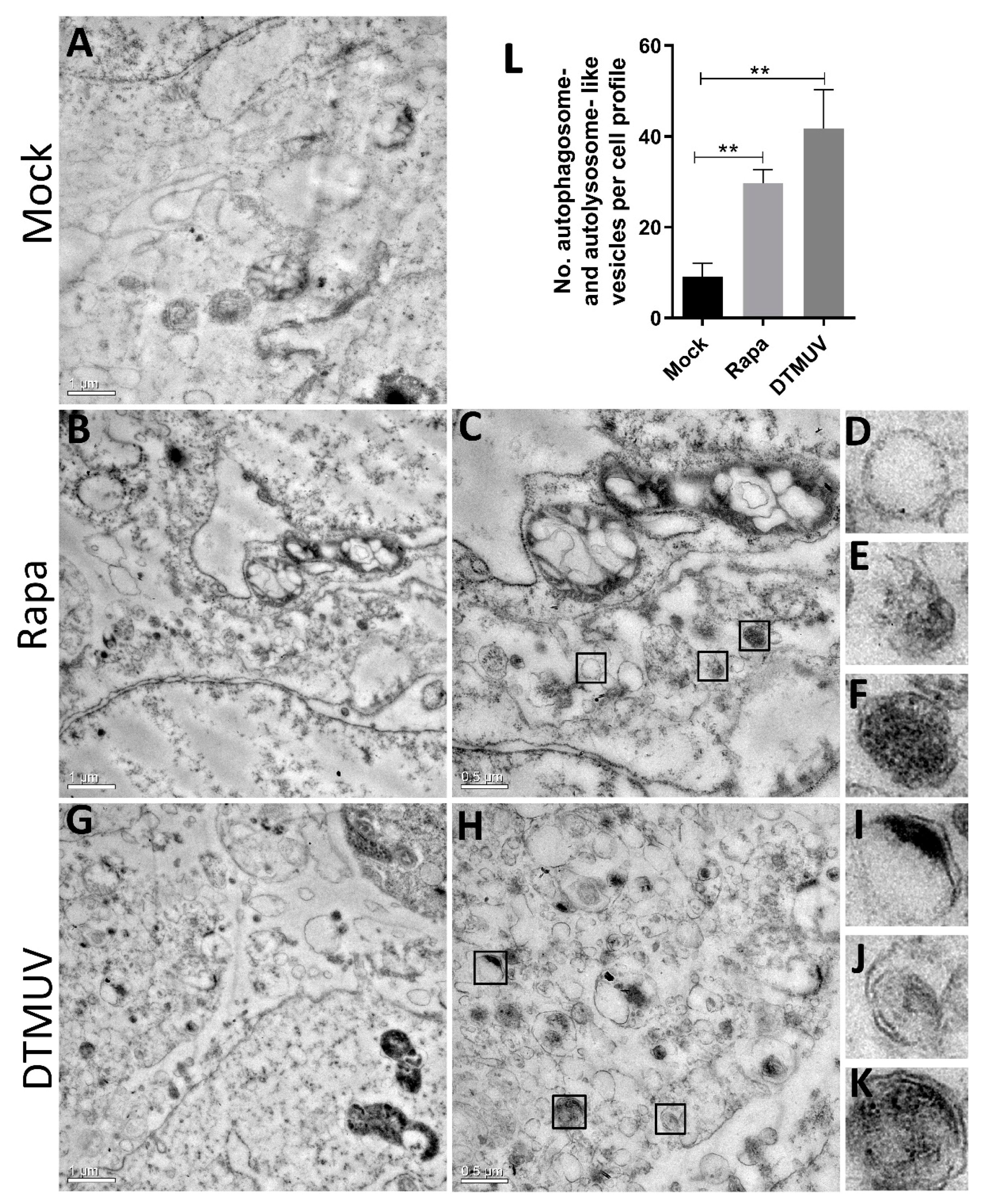 Vaccines 08 00022 g001 Vaccines 08 00022 g001