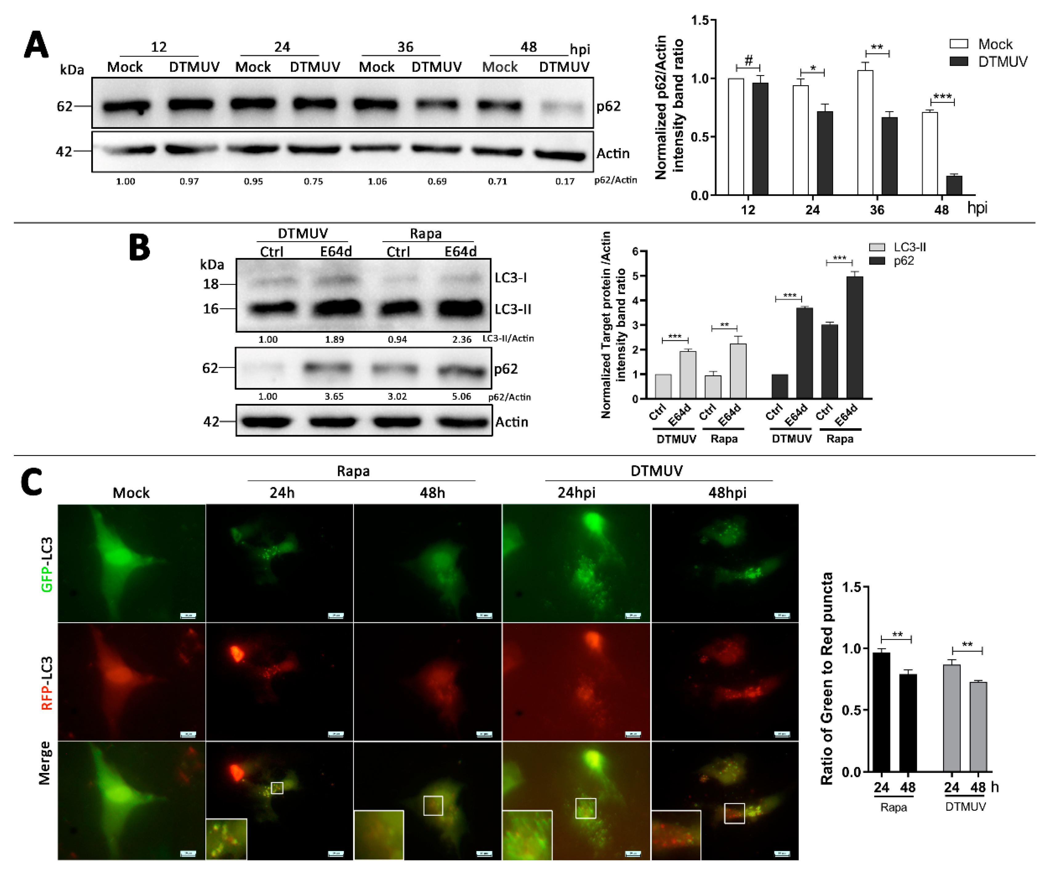 Vaccines 08 00022 g003 Vaccines 08 00022 g003