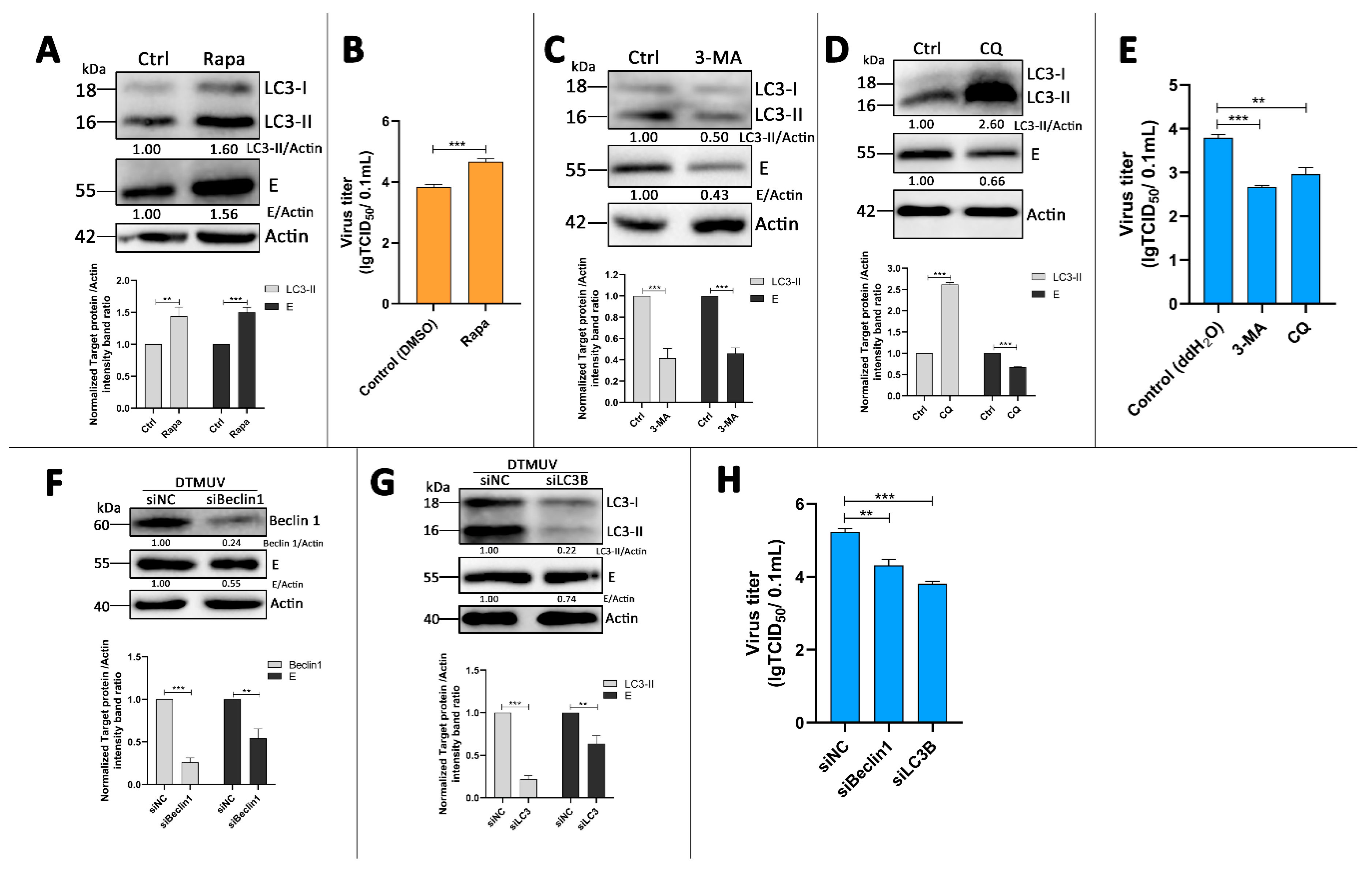 Vaccines 08 00022 g004 Vaccines 08 00022 g004