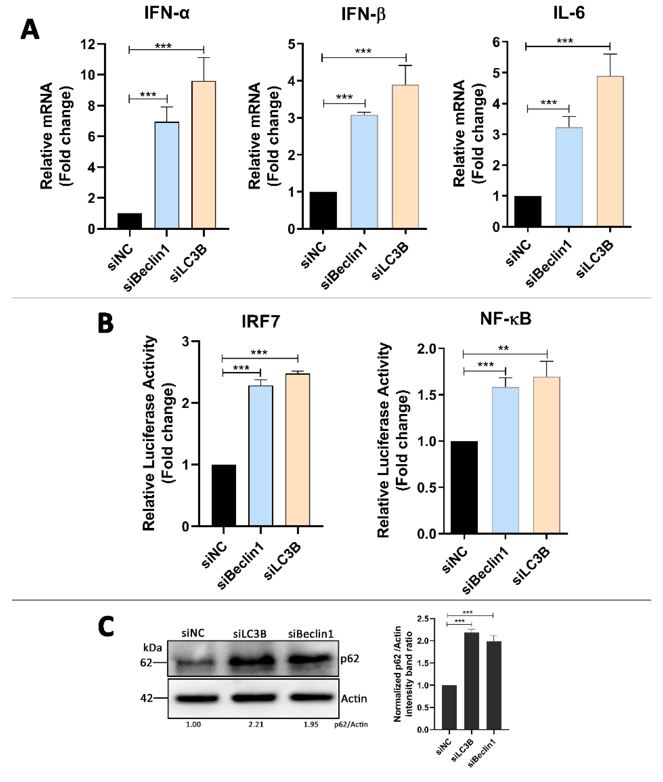 Vaccines 08 00022 g005 Vaccines 08 00022 g005