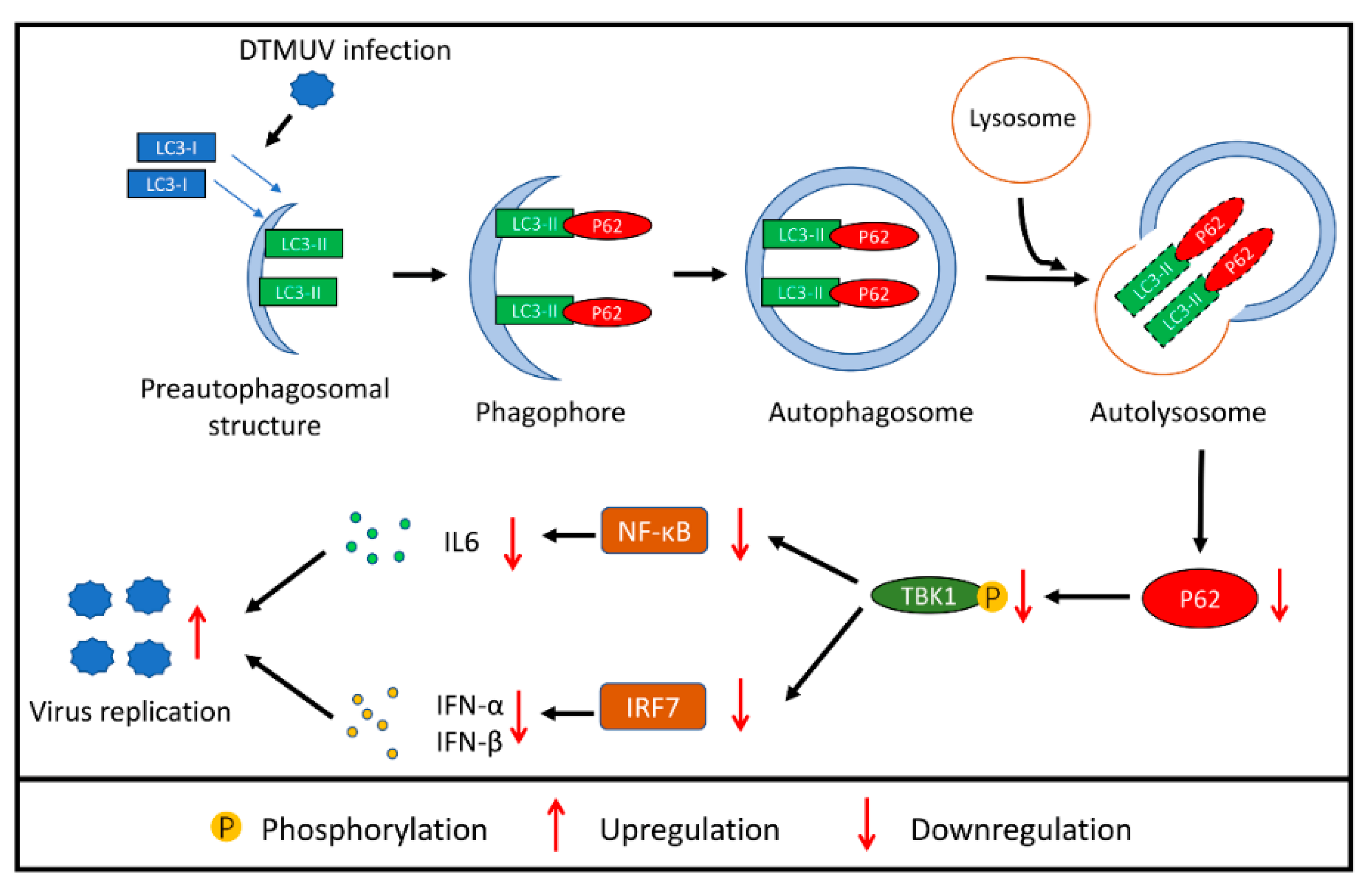 Vaccines 08 00022 g008 Vaccines 08 00022 g008