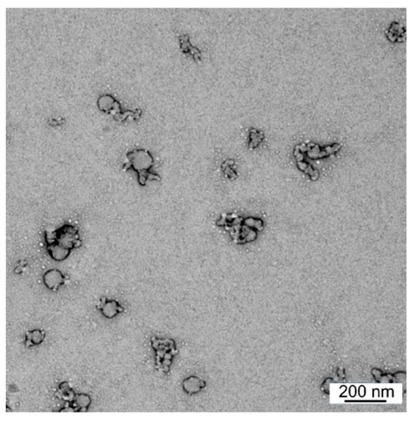 Vaccines 08 00023 g002 Vaccines 08 00023 g002