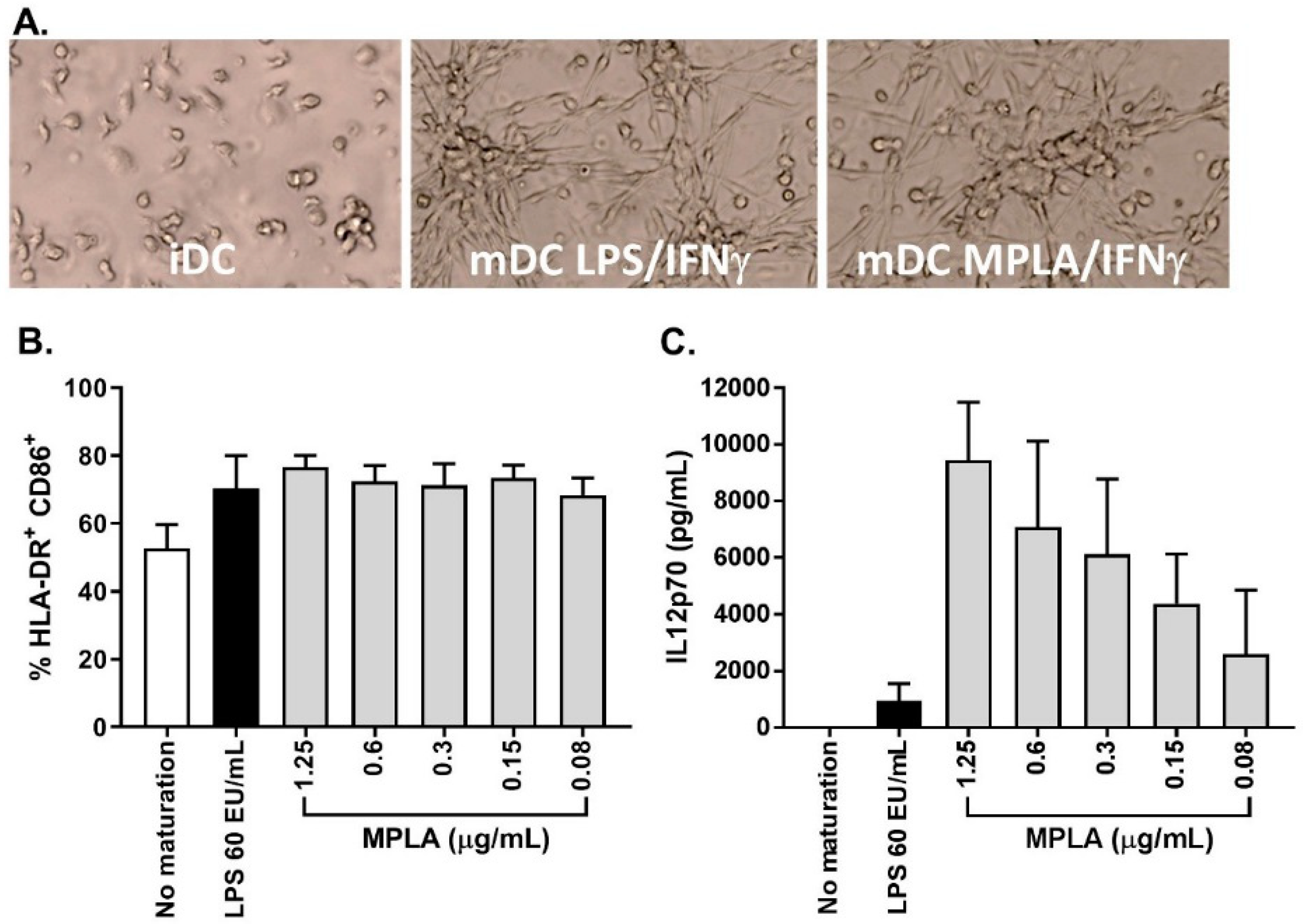 Vaccines 08 00025 g005