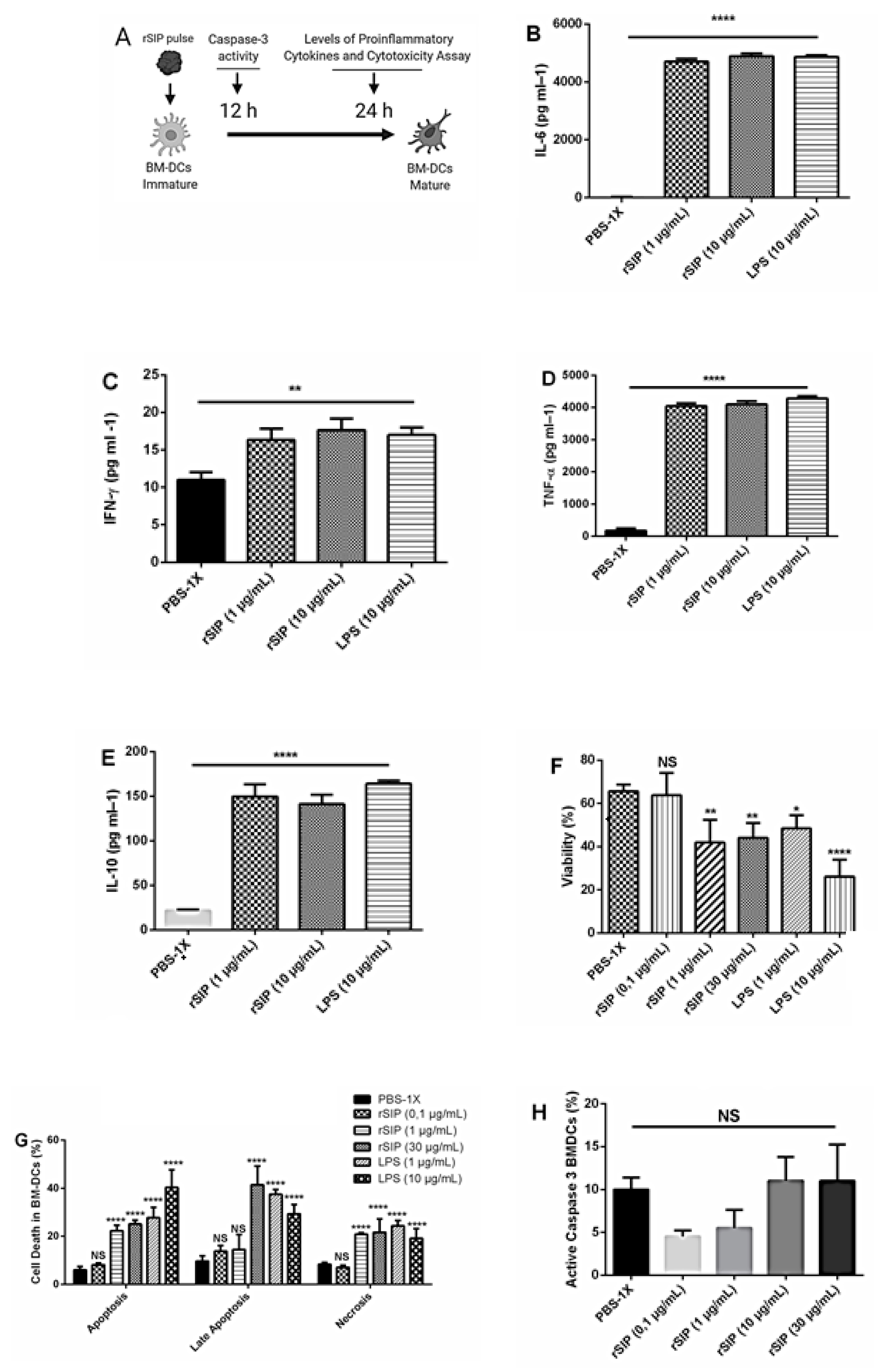 Vaccines 08 00029 g004