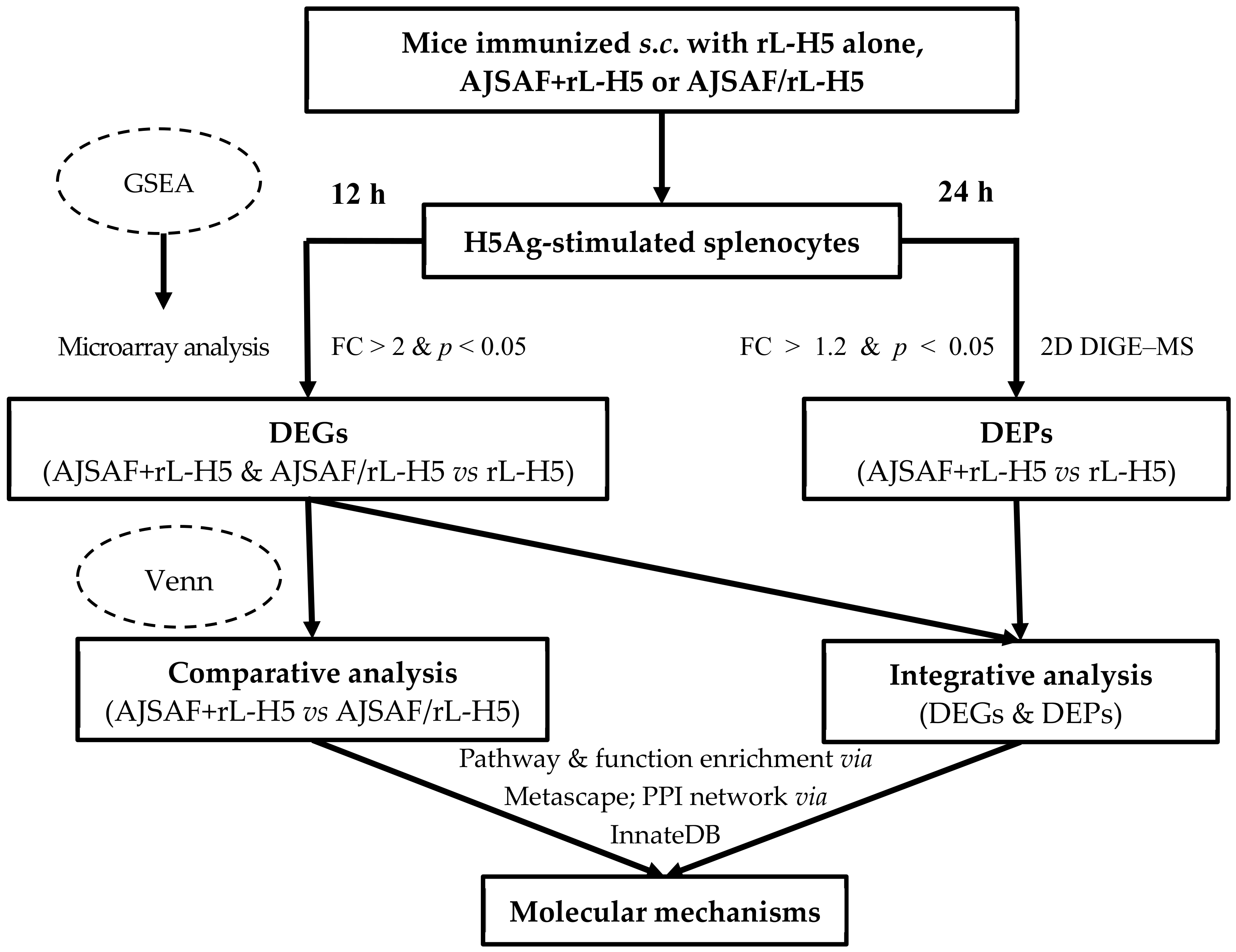 Vaccines 08 00048 g002