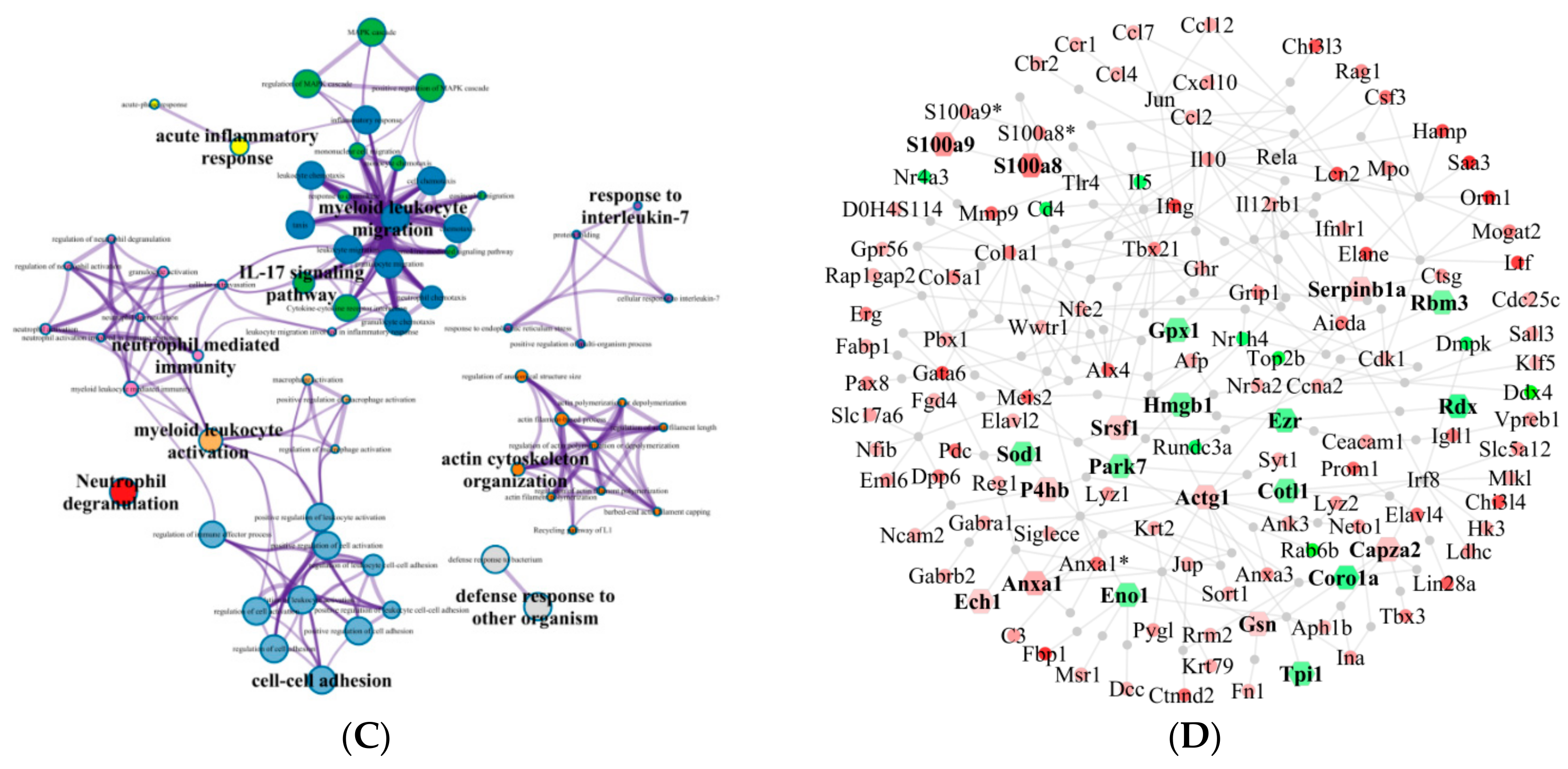 Vaccines 08 00048 g005b