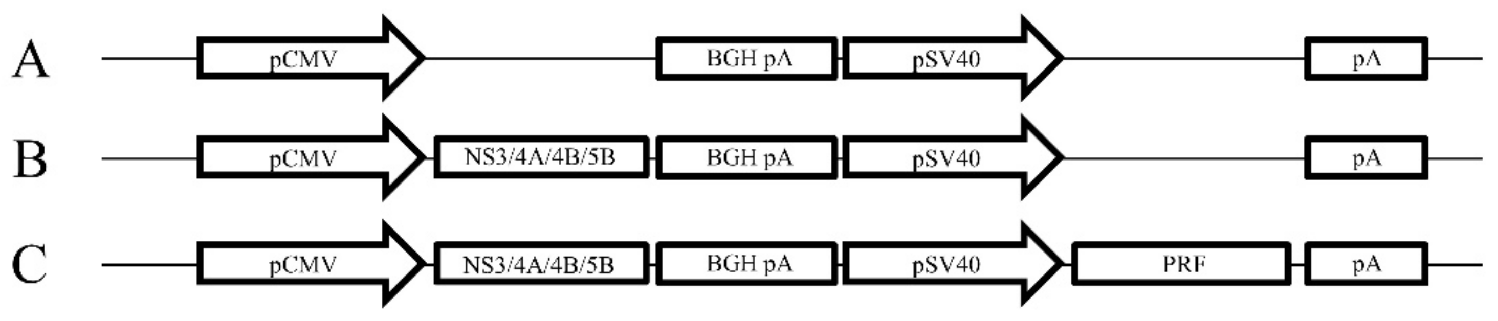 Vaccines 08 00053 g001 Vaccines 08 00053 g001