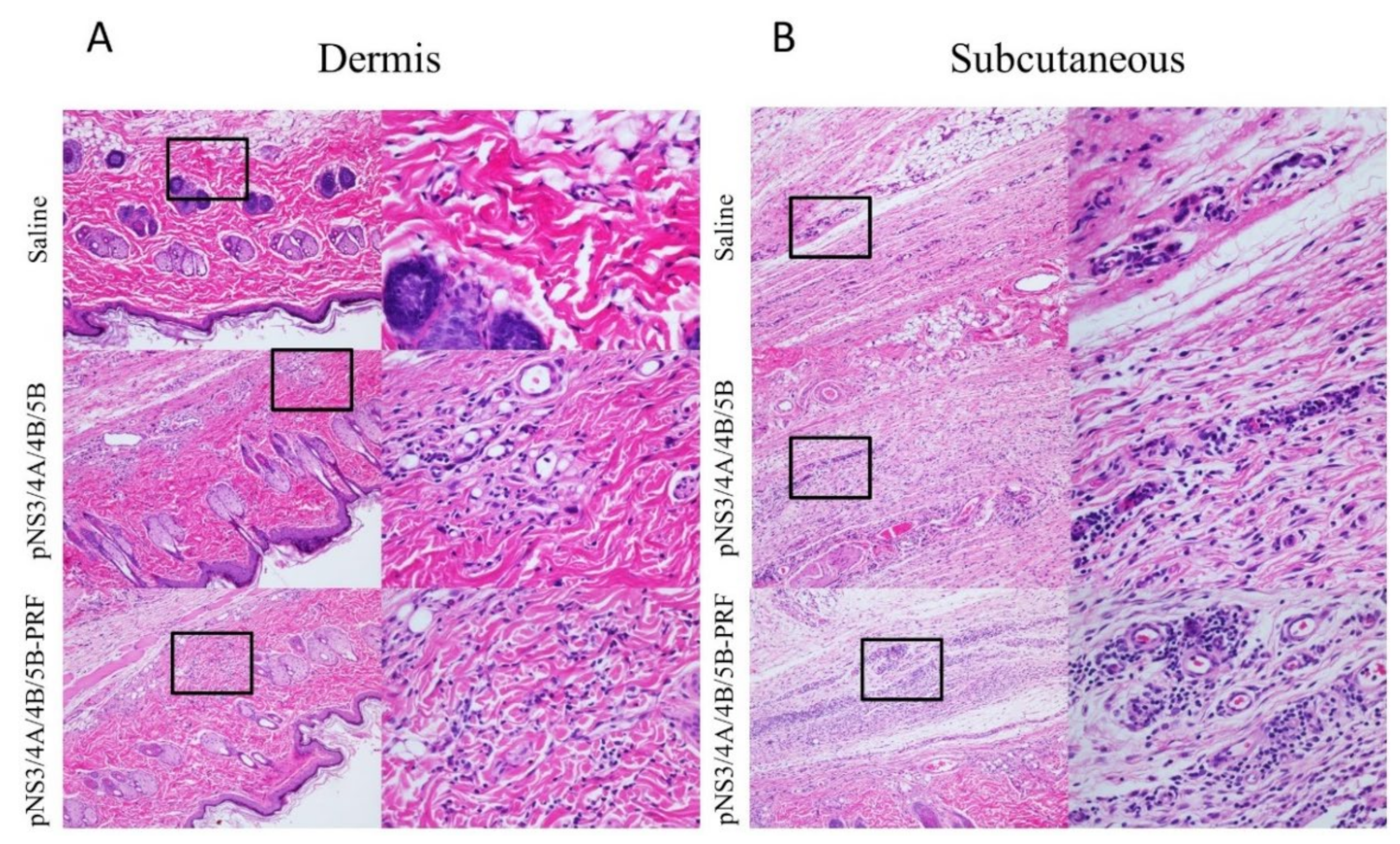 Vaccines 08 00053 g005 Vaccines 08 00053 g005
