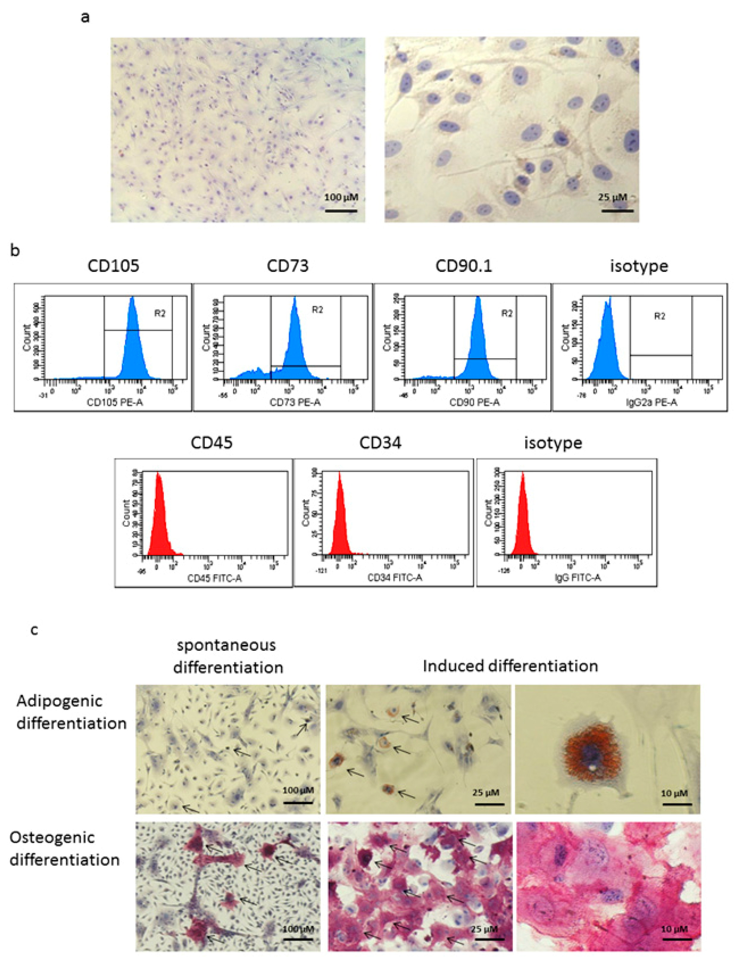 Vaccines 08 00062 g001