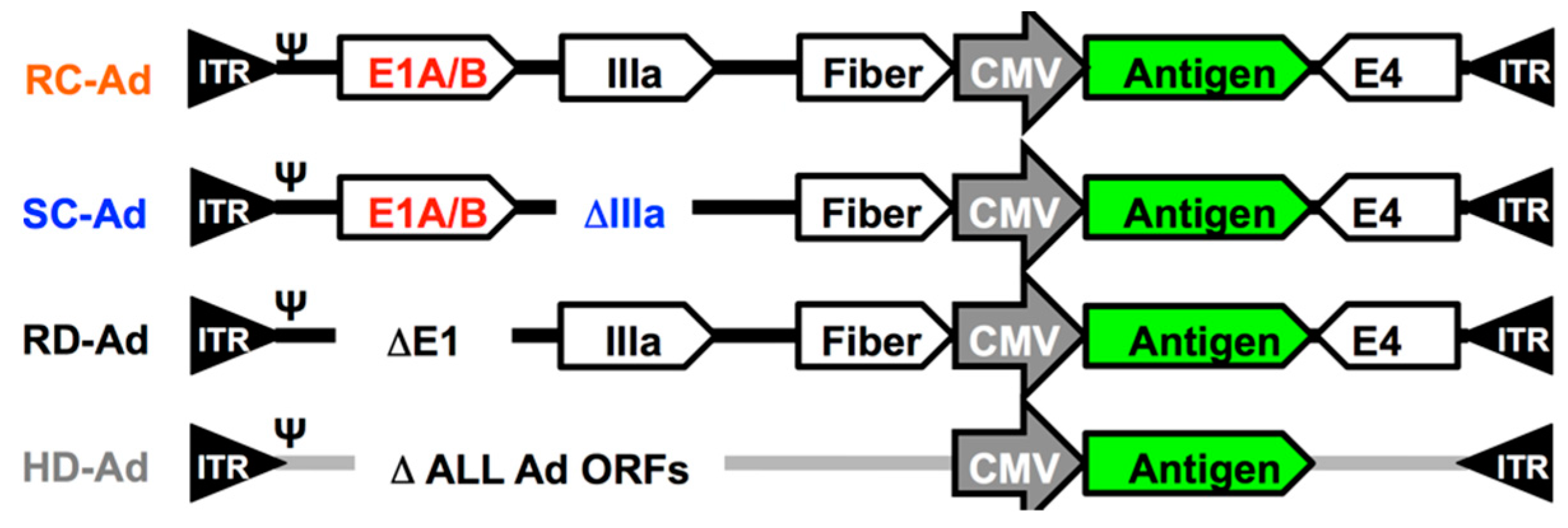 Vaccines 08 00064 g001