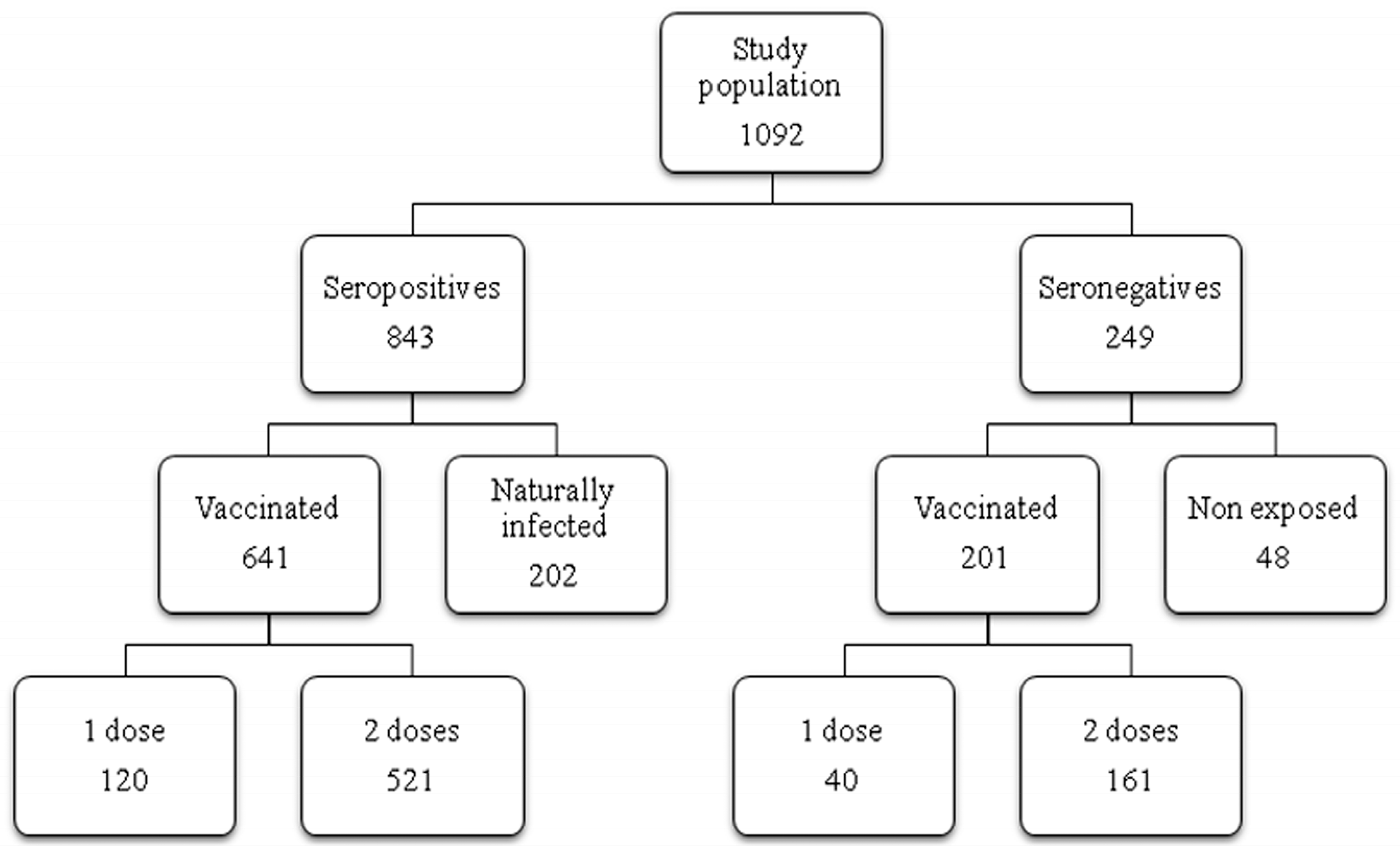 Vaccines 08 00066 g001 Vaccines 08 00066 g001