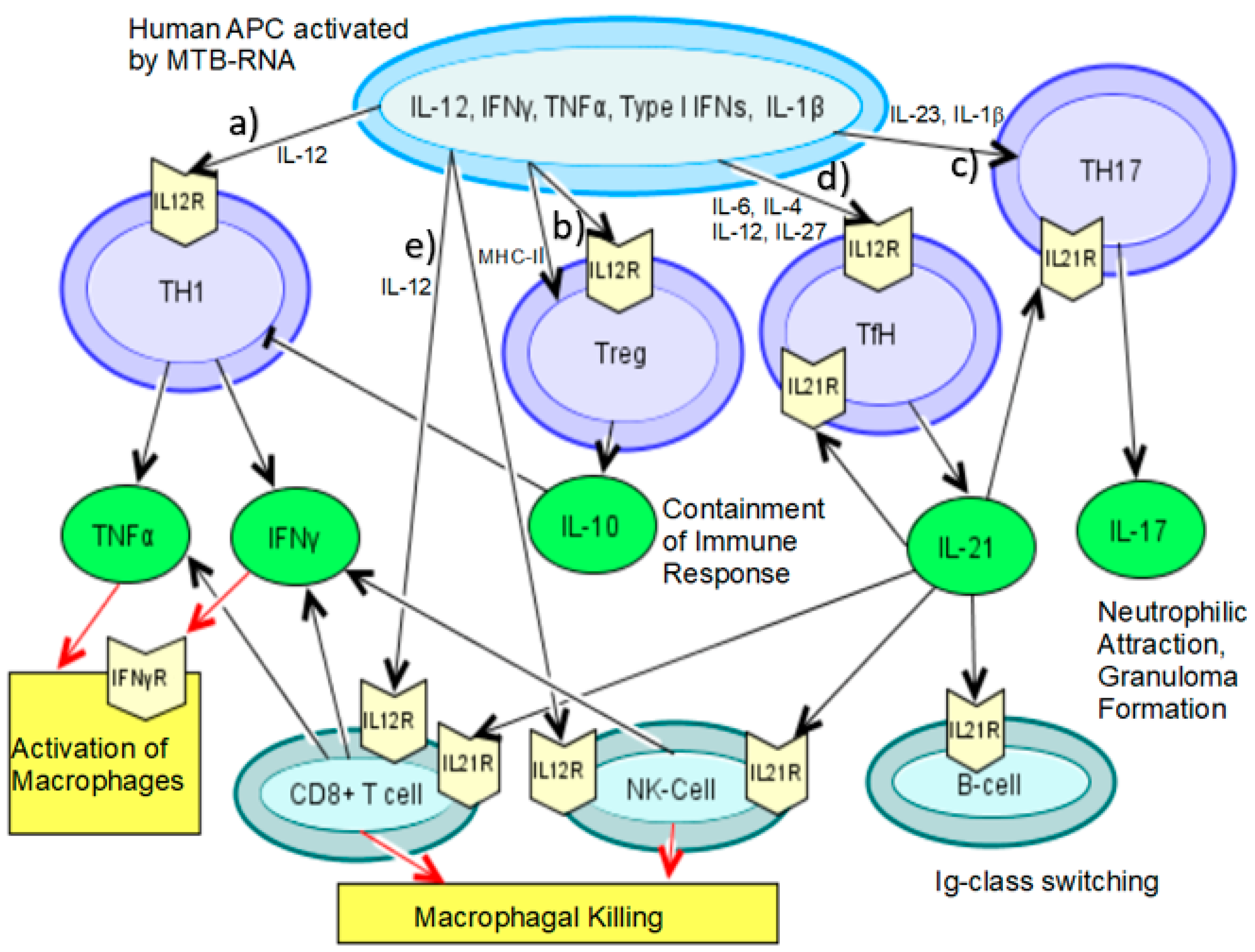 Vaccines 08 00067 g002 Vaccines 08 00067 g002