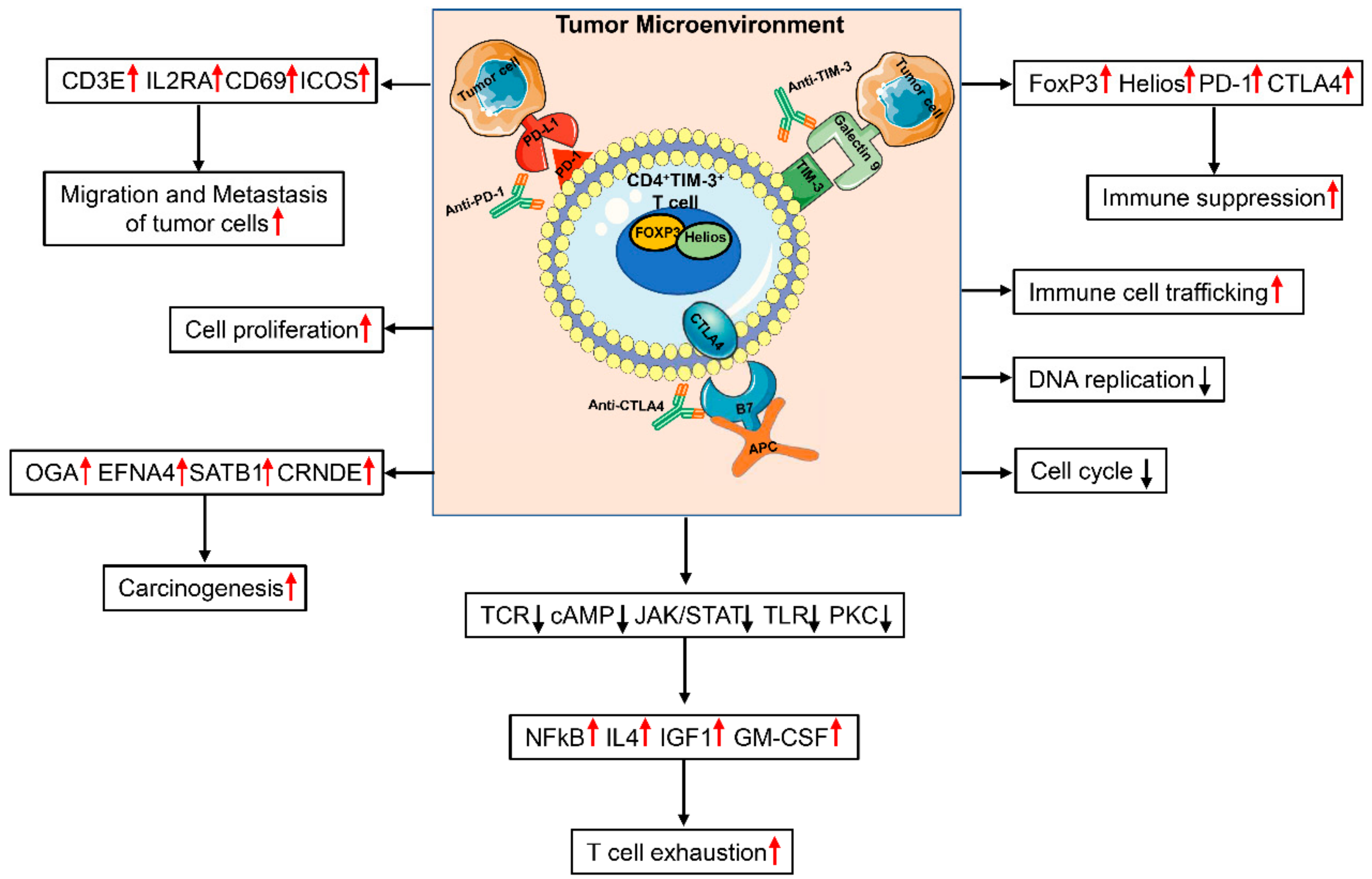 Vaccines 08 00071 g006