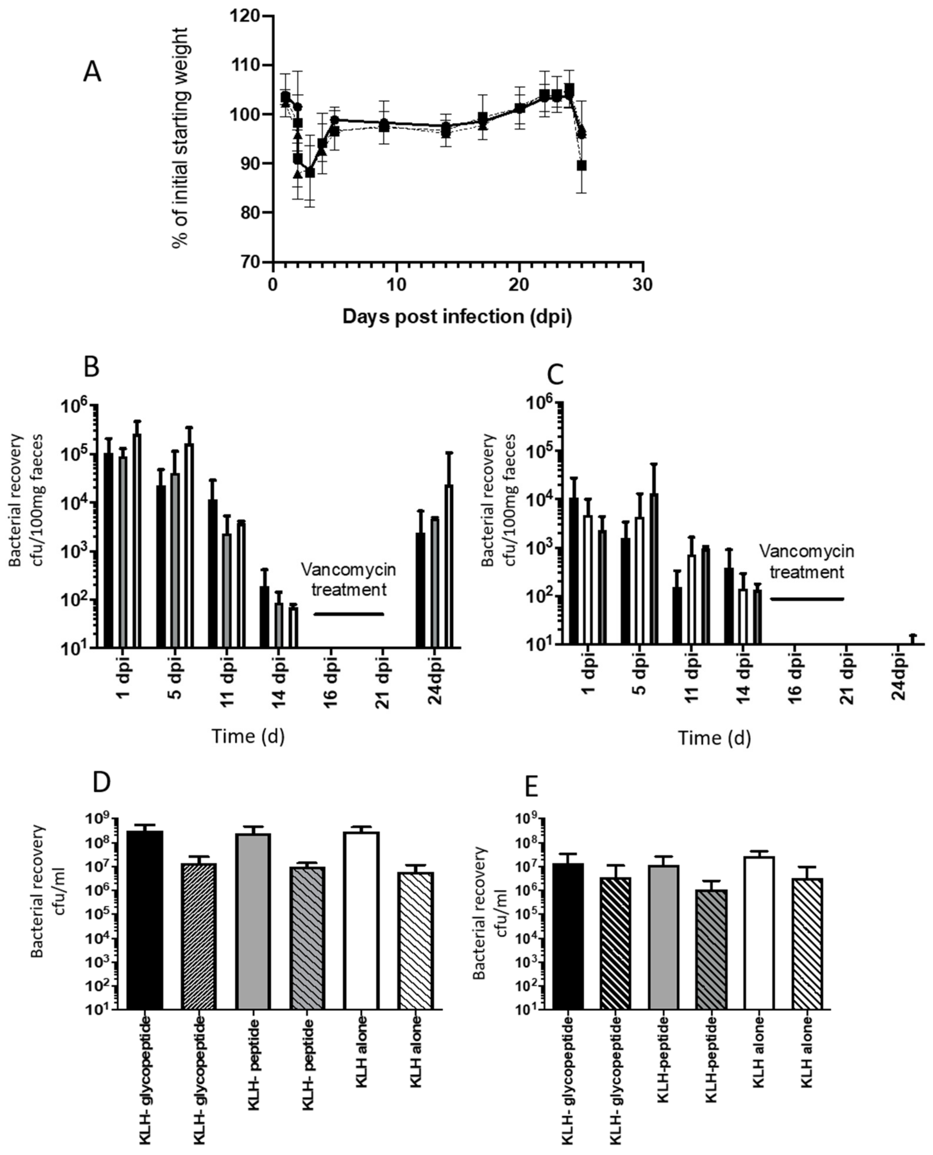 Vaccines 08 00073 g008 Vaccines 08 00073 g008