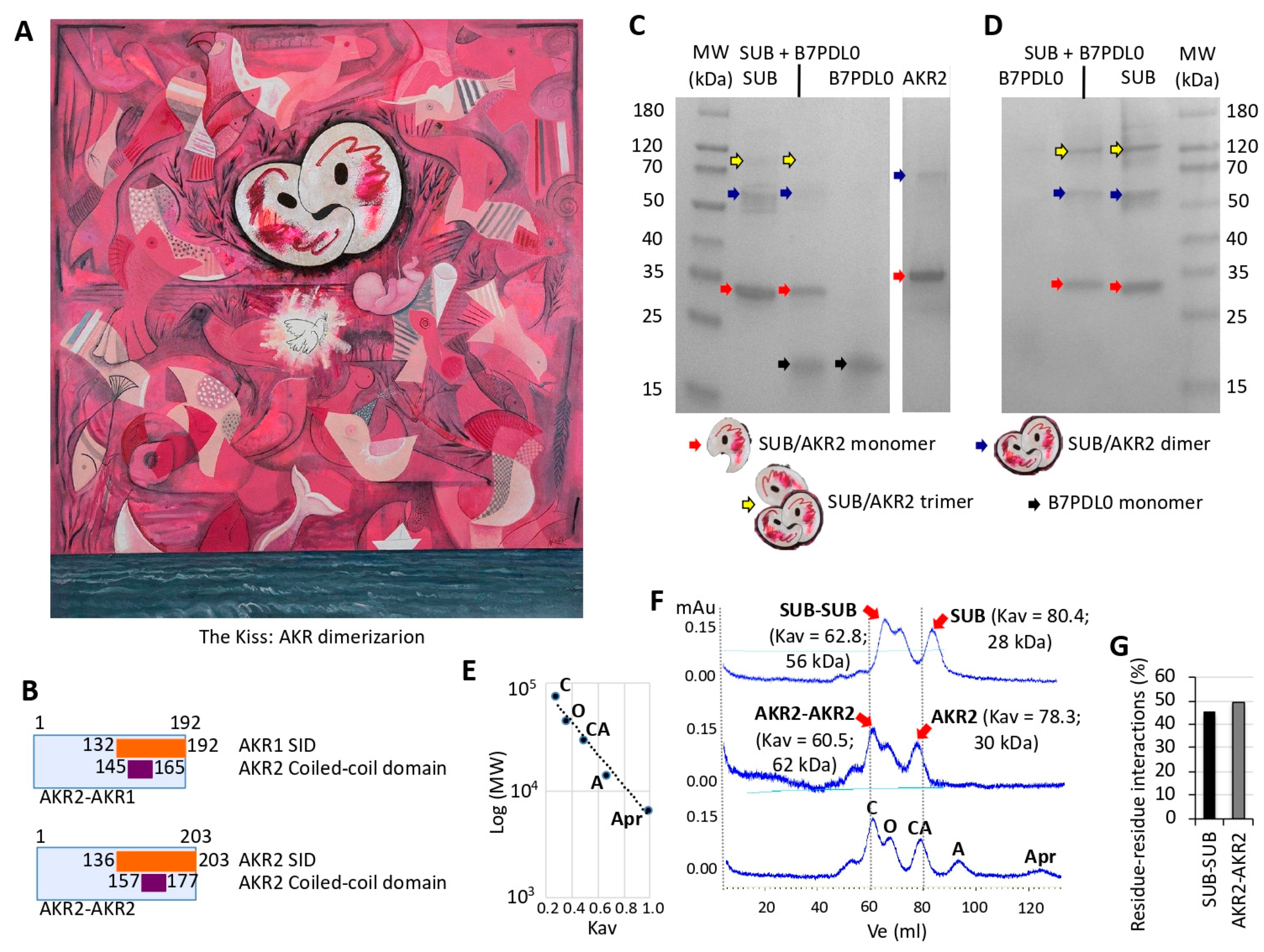 Vaccines 08 00077 g001 Vaccines 08 00077 g001