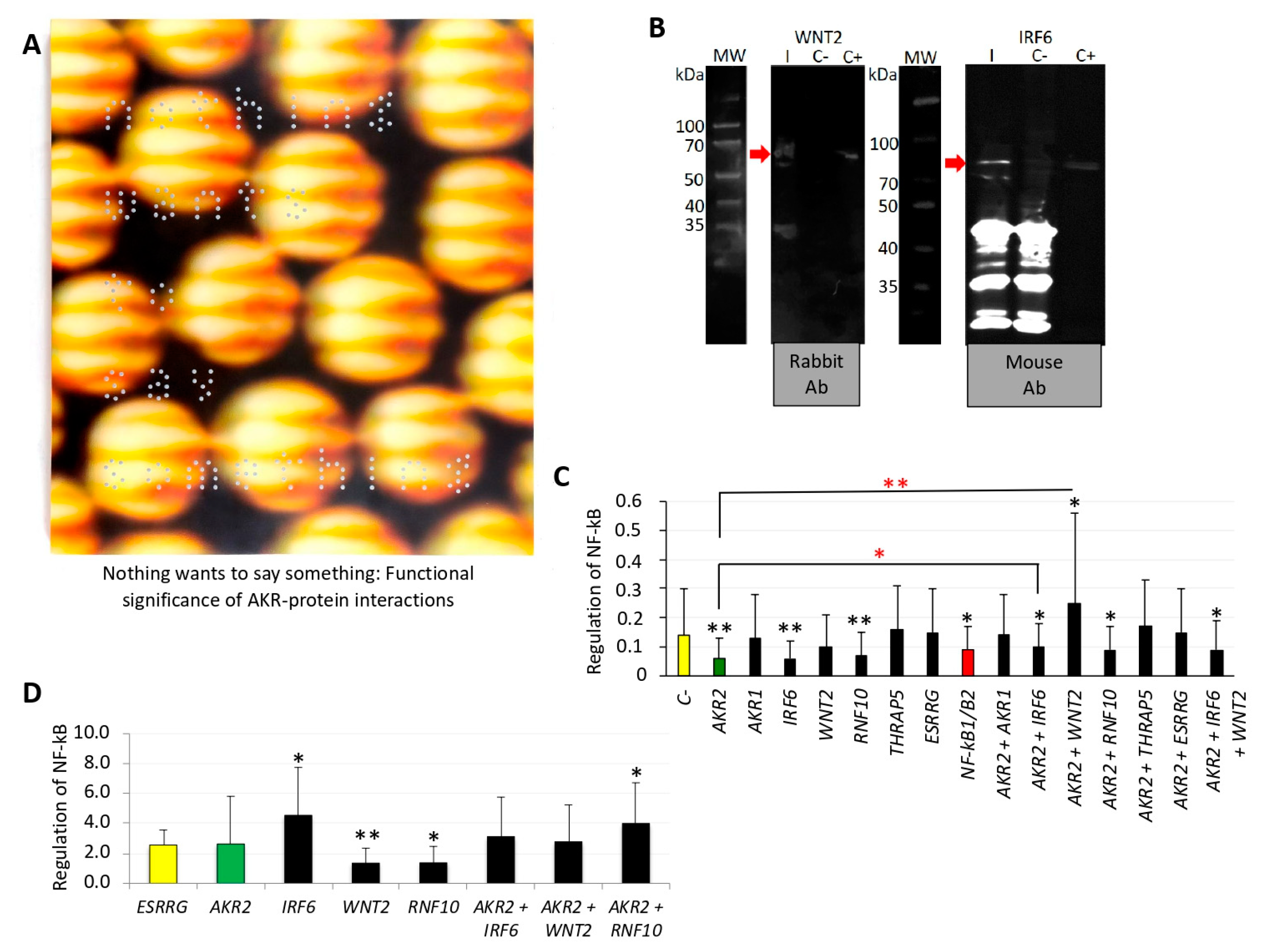 Vaccines 08 00077 g006 Vaccines 08 00077 g006