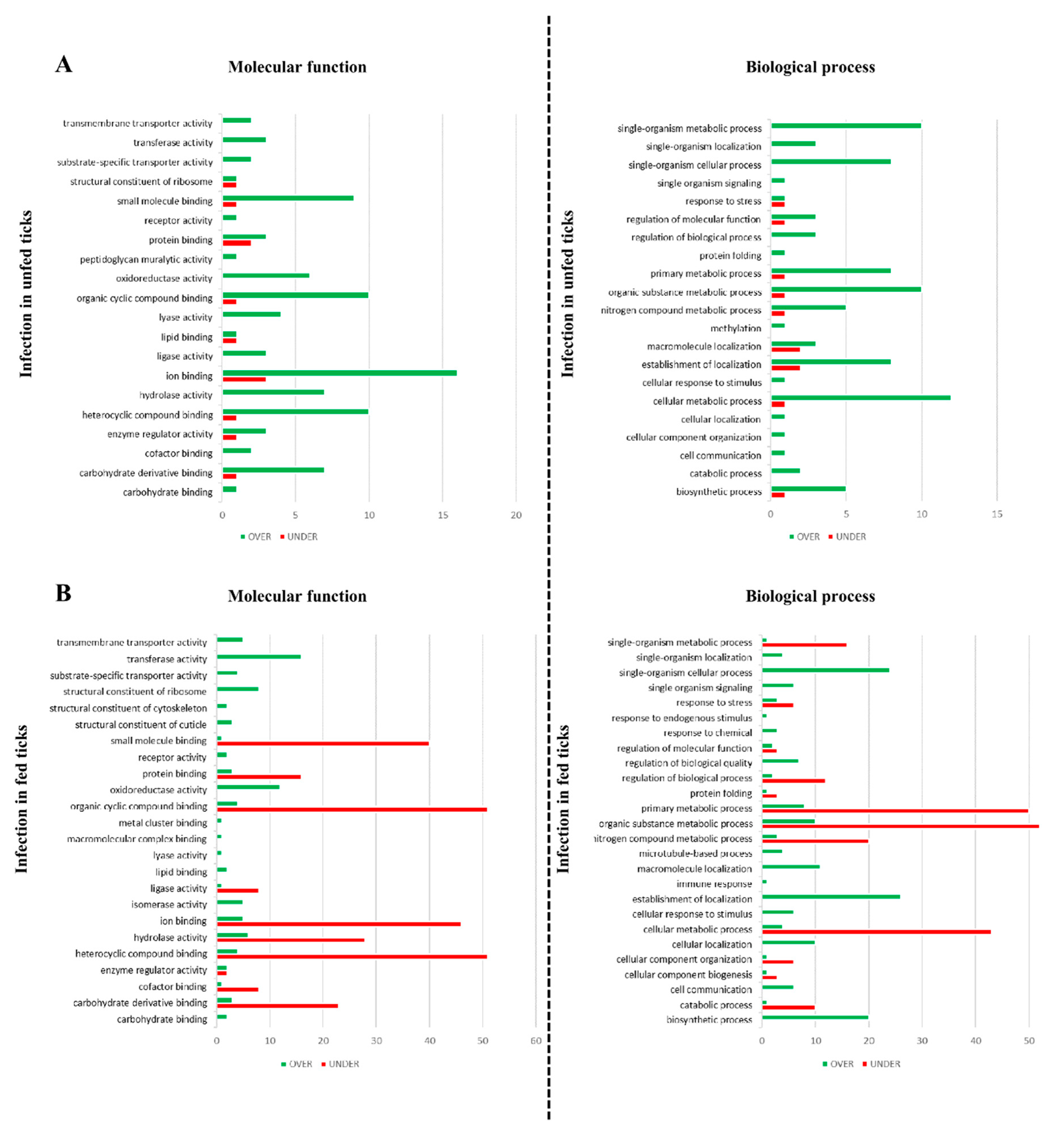Vaccines Free Full Text Quantitative Proteomics Identifies Metabolic Pathways Affected By Babesia Infection And Blood Feeding In The Sialoproteome Of The Vector Rhipicephalus Bursa Html
