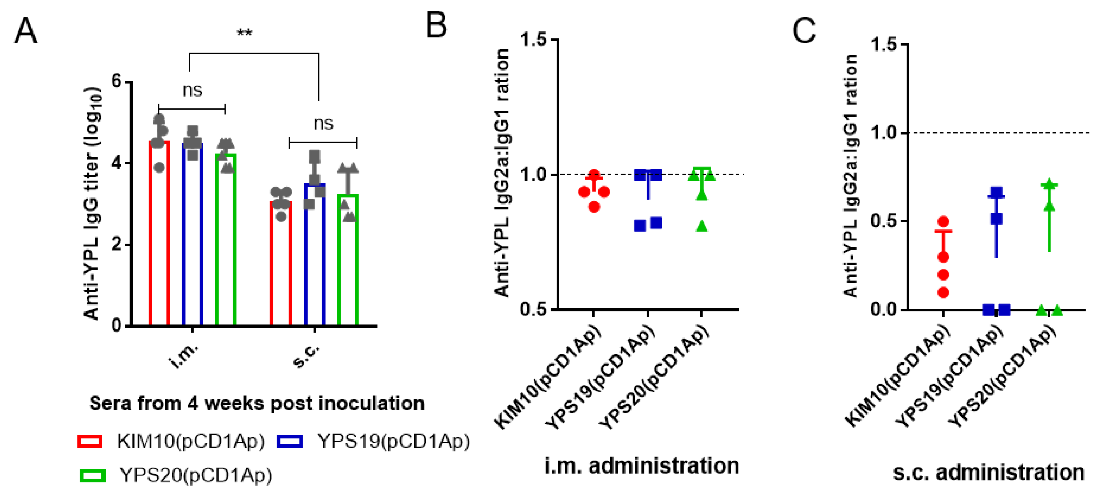 Vaccines 08 00095 g004