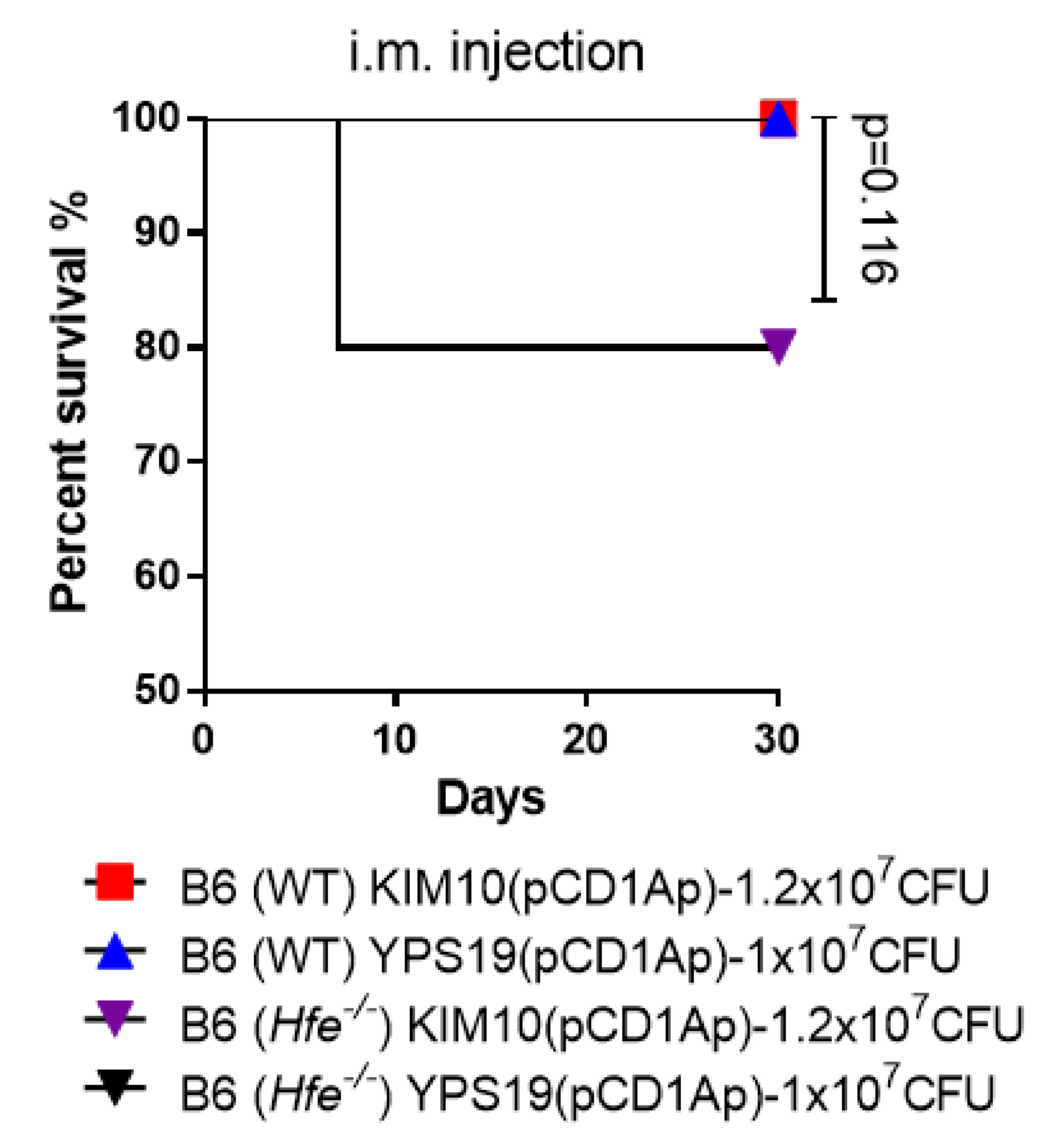 Vaccines 08 00095 g006
