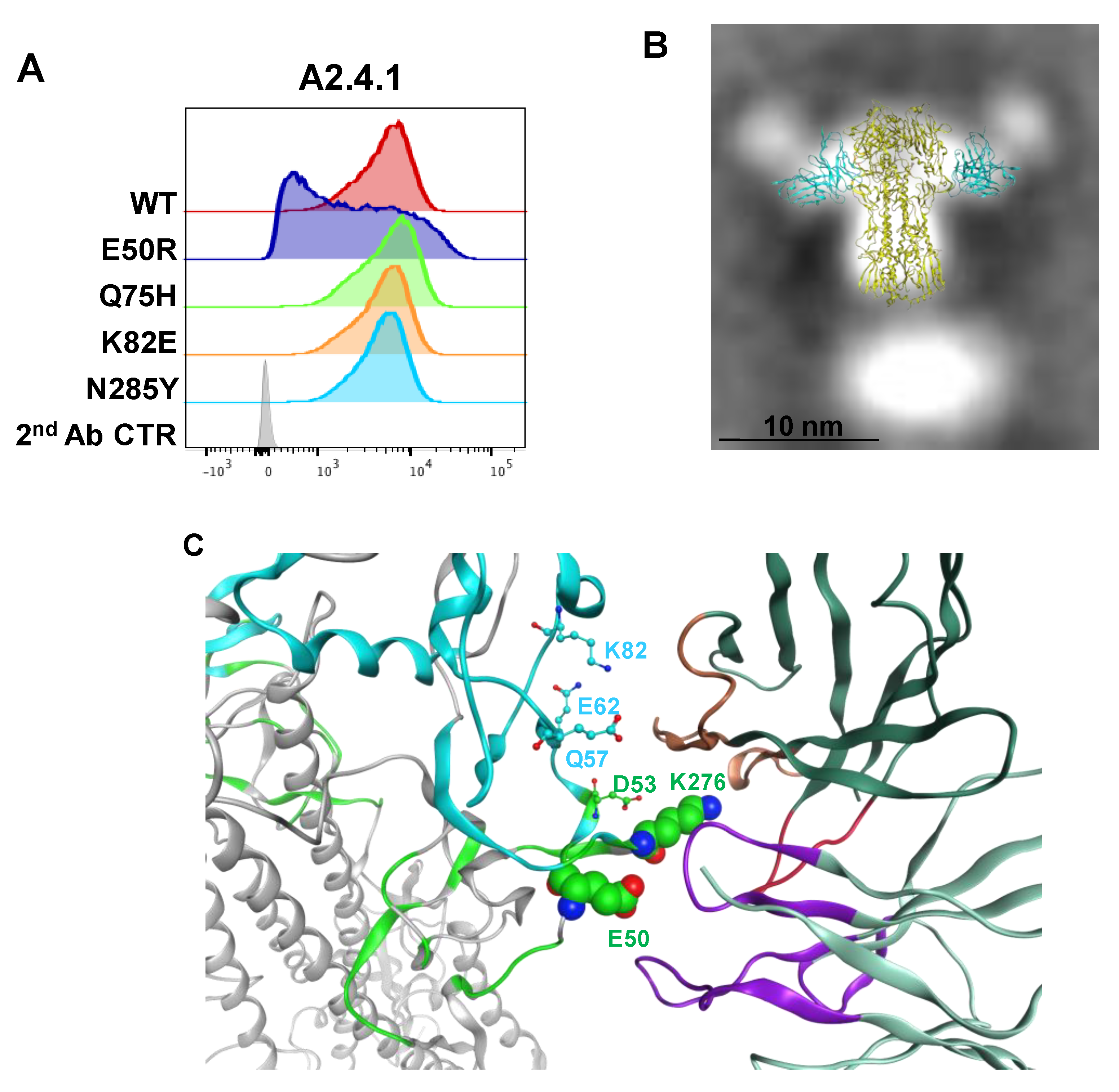 Vaccines 08 00099 g006 Vaccines 08 00099 g006