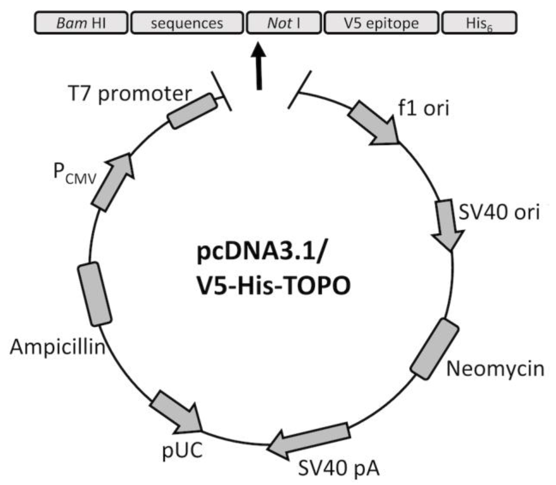 Vaccines 08 00102 g001