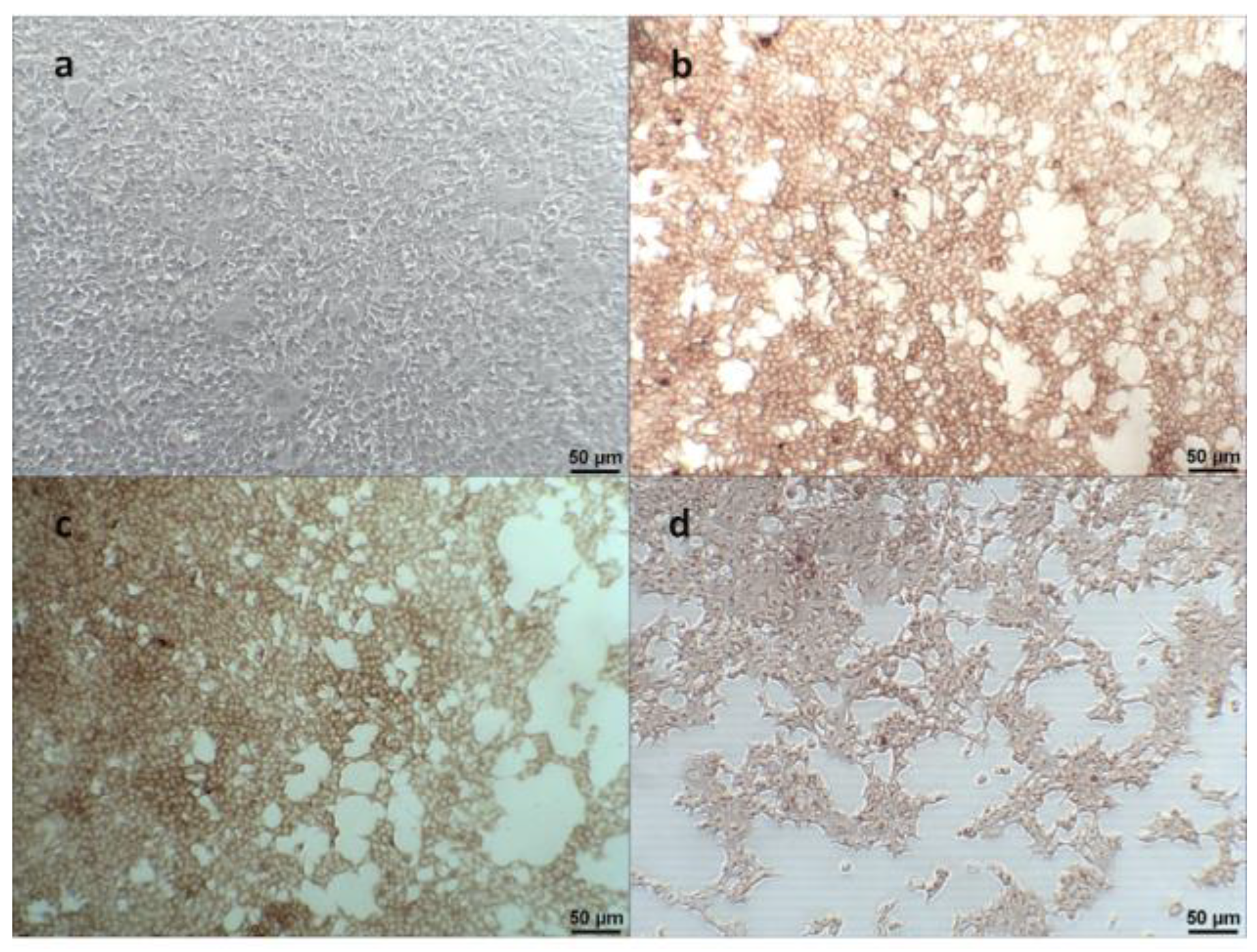 Vaccines 08 00102 g002