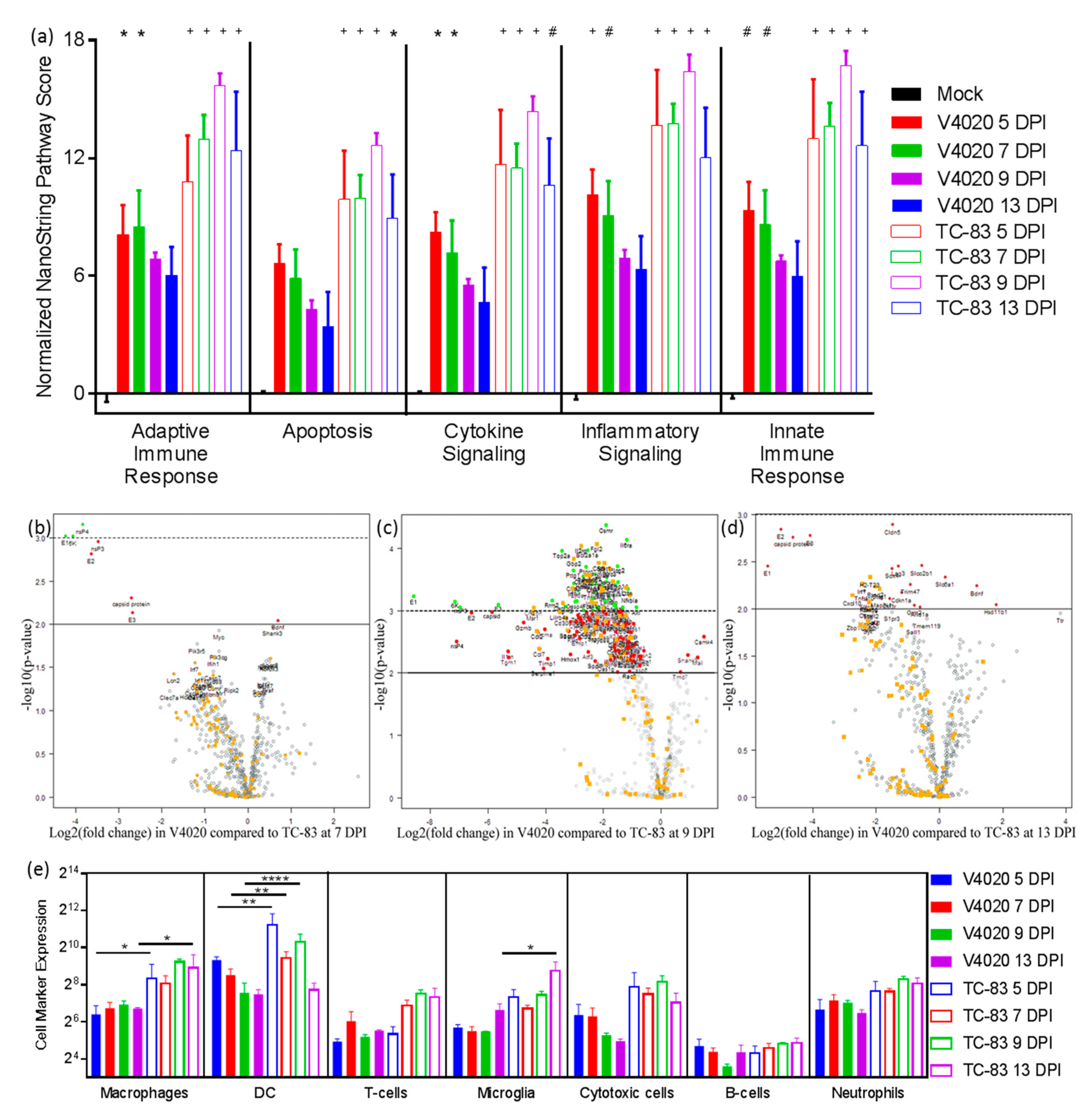 Vaccines 08 00114 g003