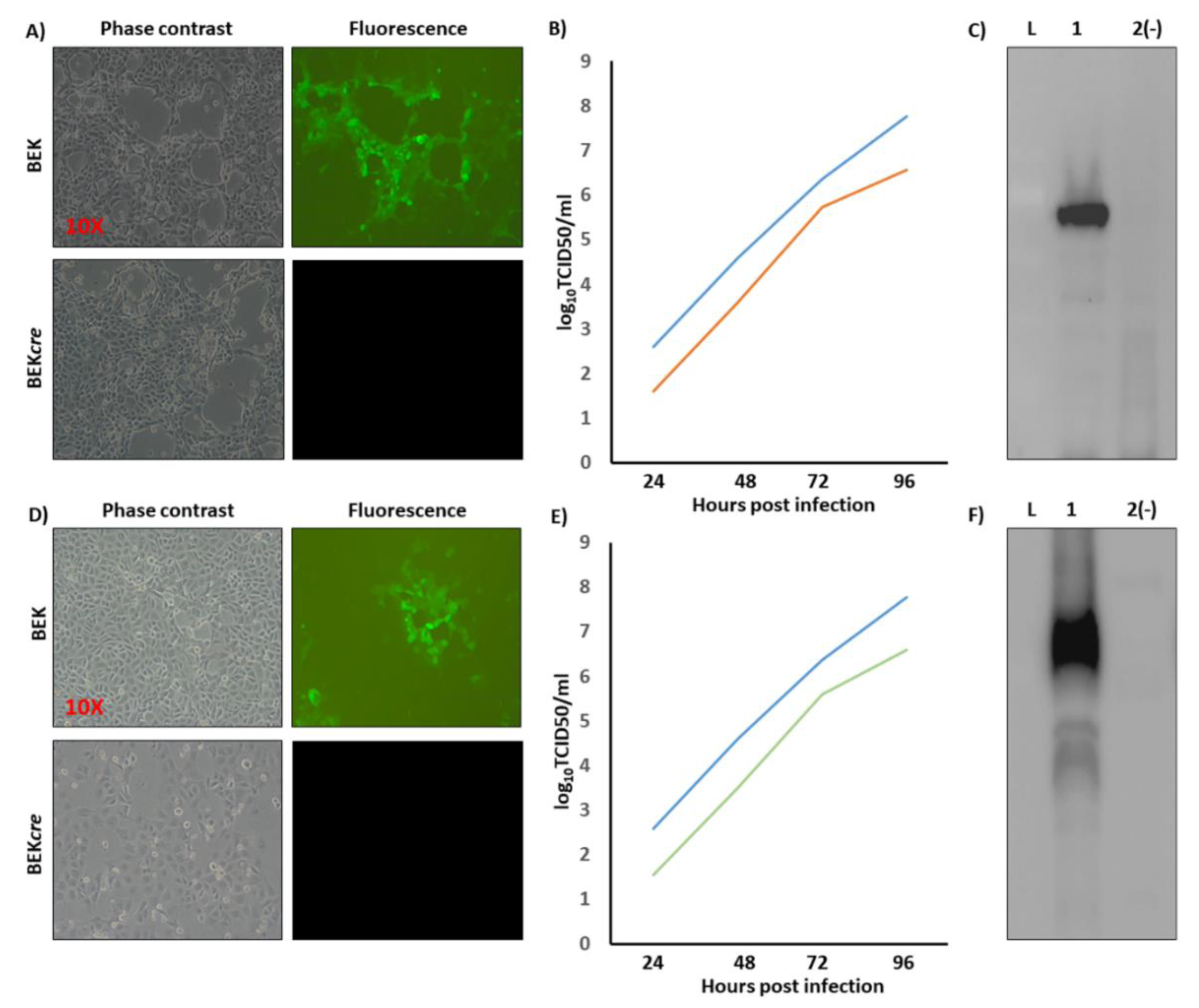 Vaccines 08 00115 g002