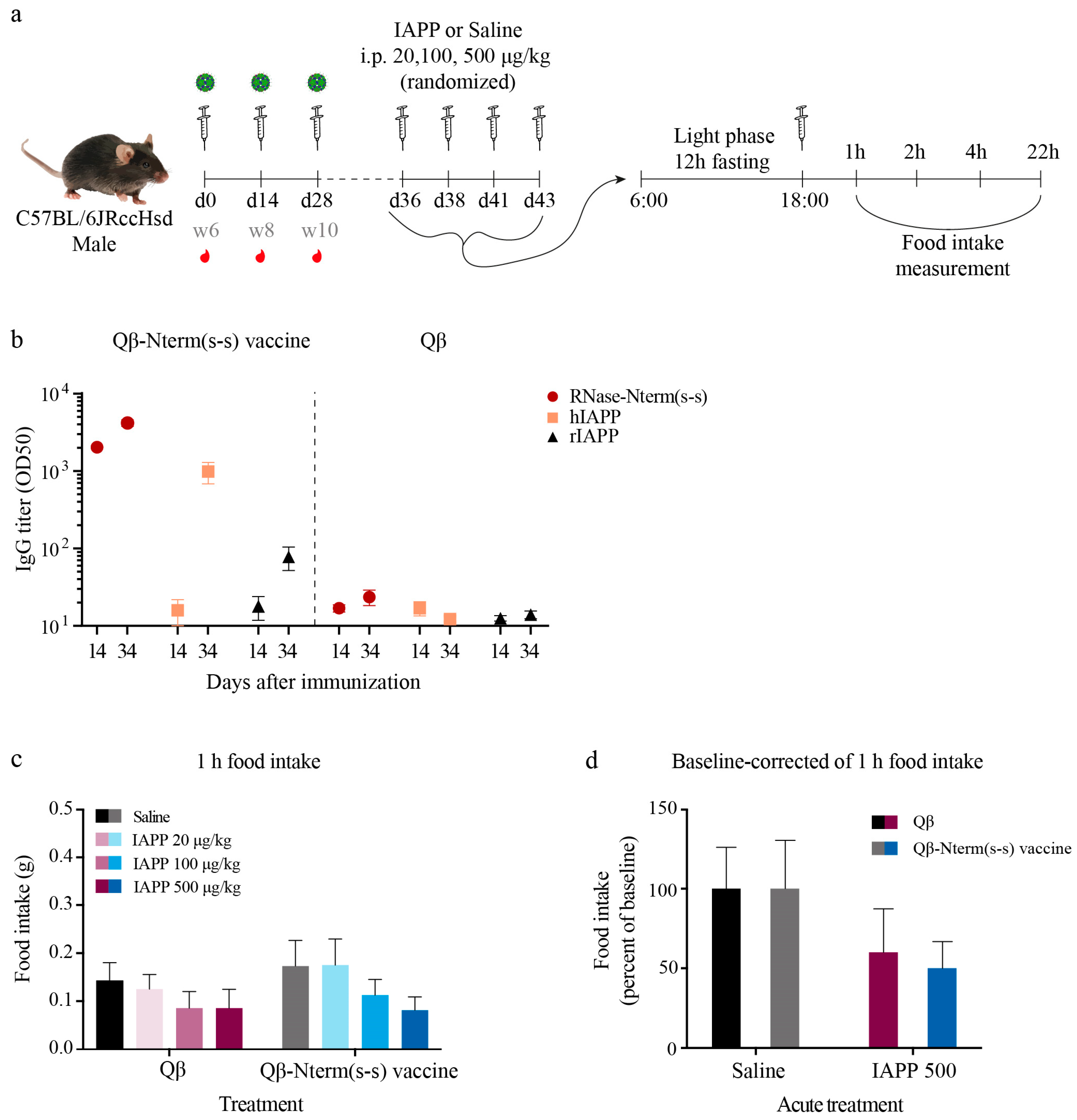 Vaccines 08 00116 g004 Vaccines 08 00116 g004