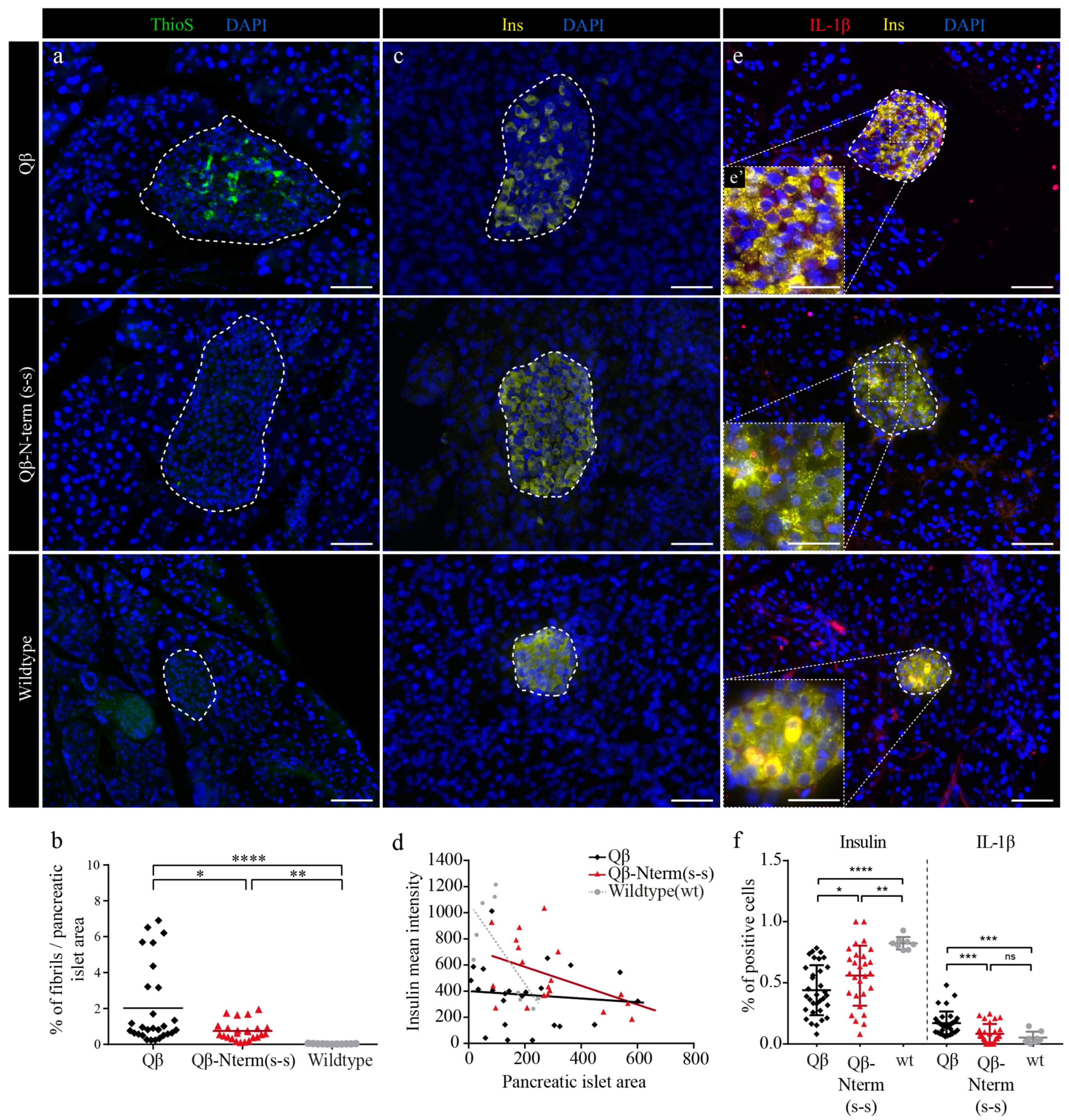 Vaccines 08 00116 g006 Vaccines 08 00116 g006