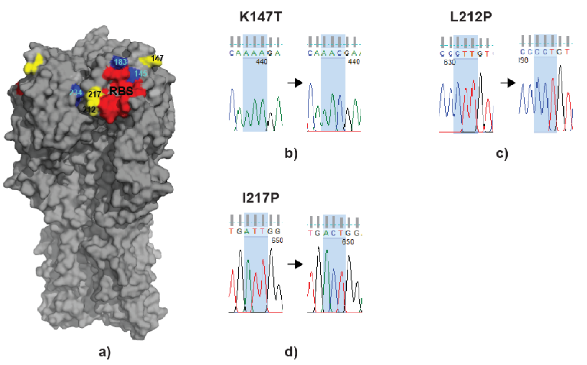 Vaccines 08 00118 g006 Vaccines 08 00118 g006