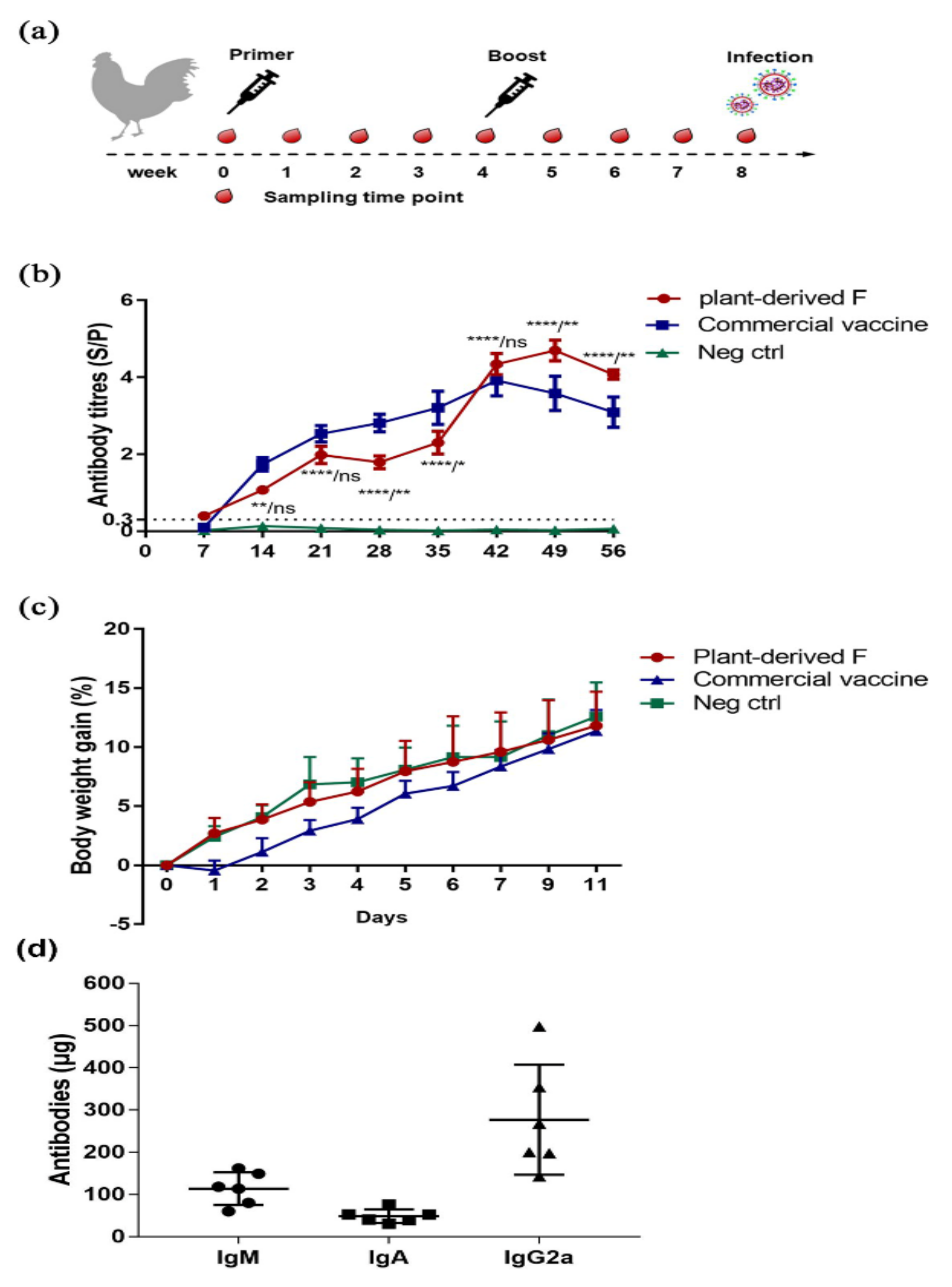 Vaccines 08 00122 g003