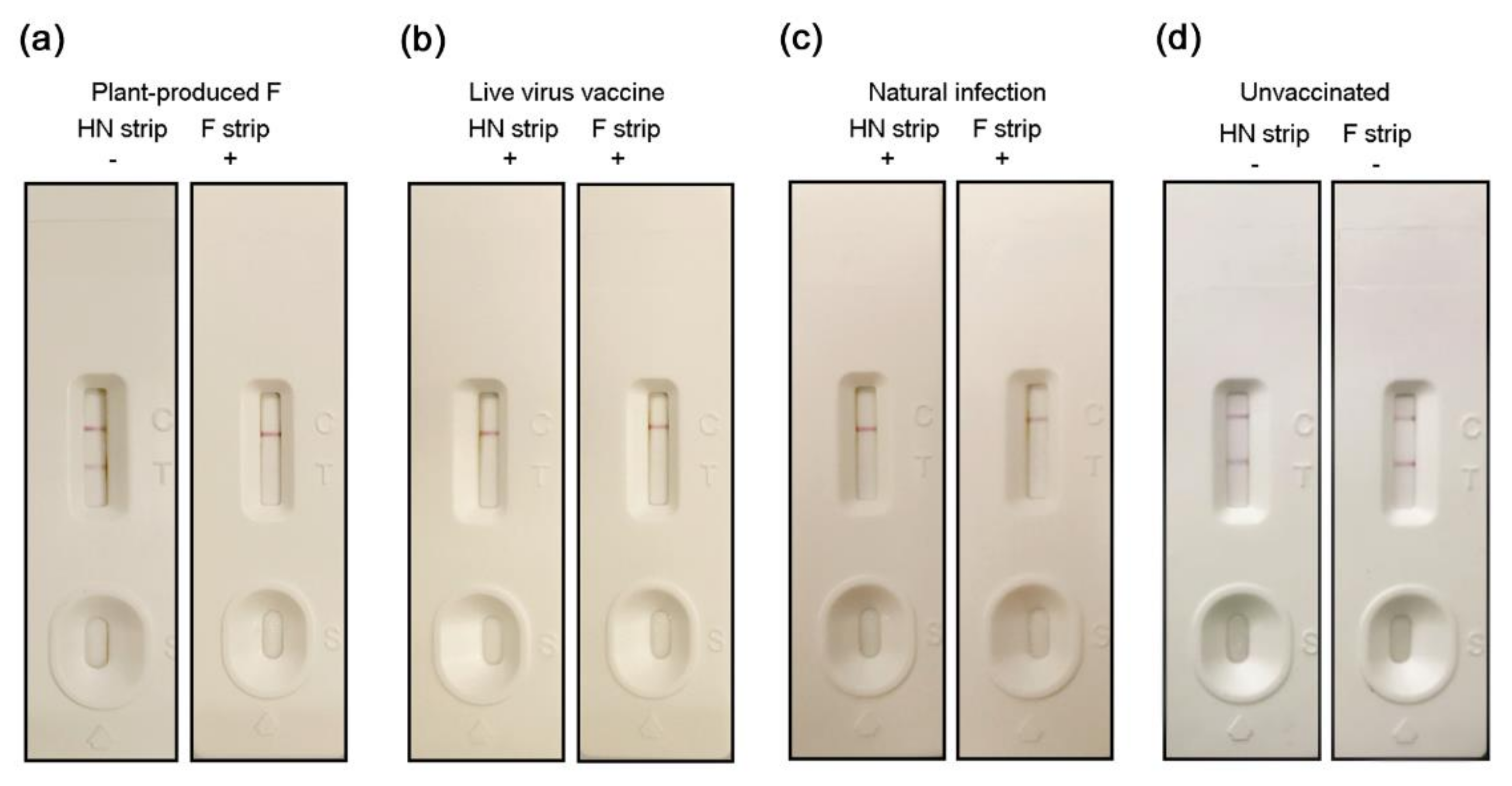 Vaccines 08 00122 g007