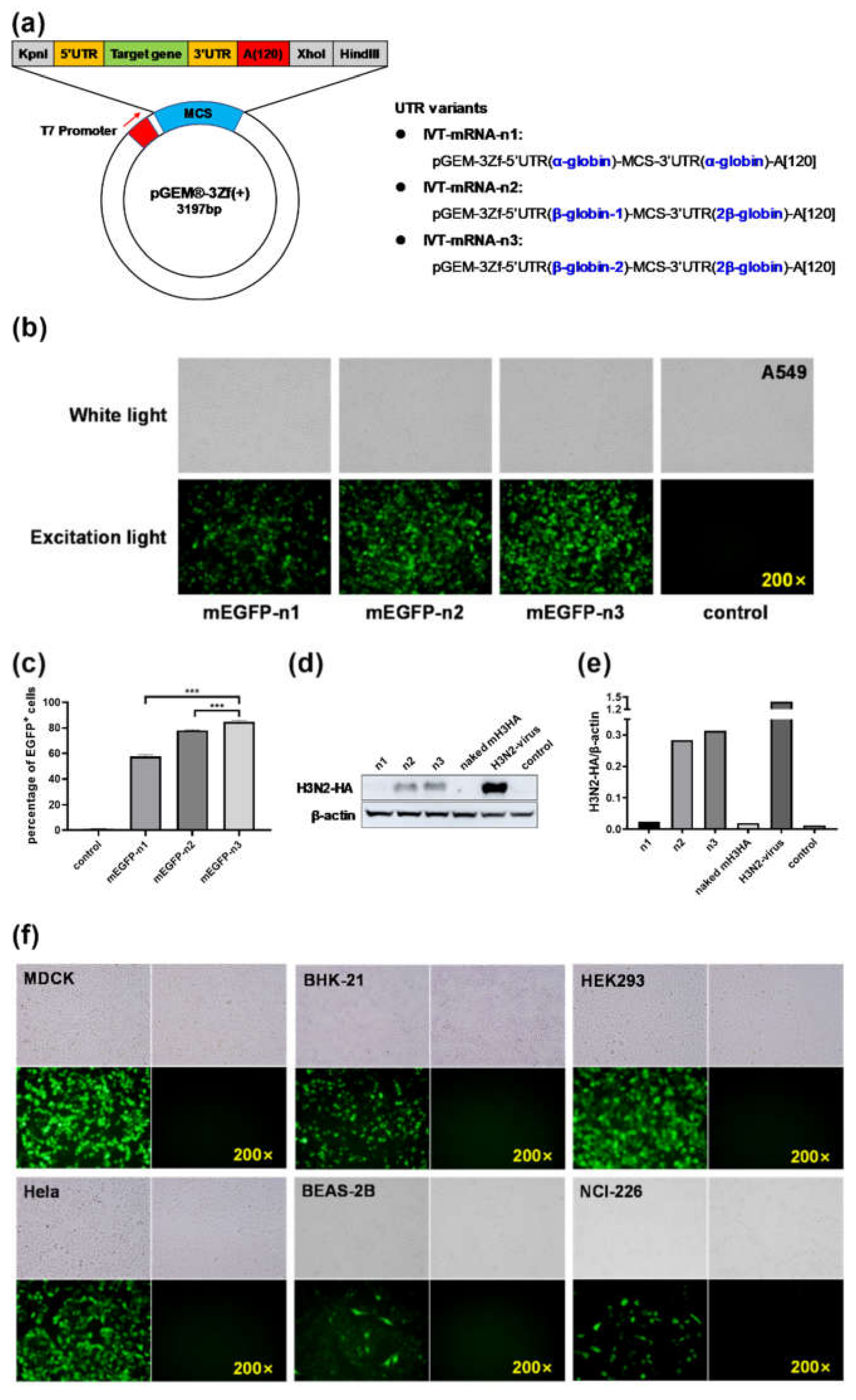 Vaccines 08 00123 g001