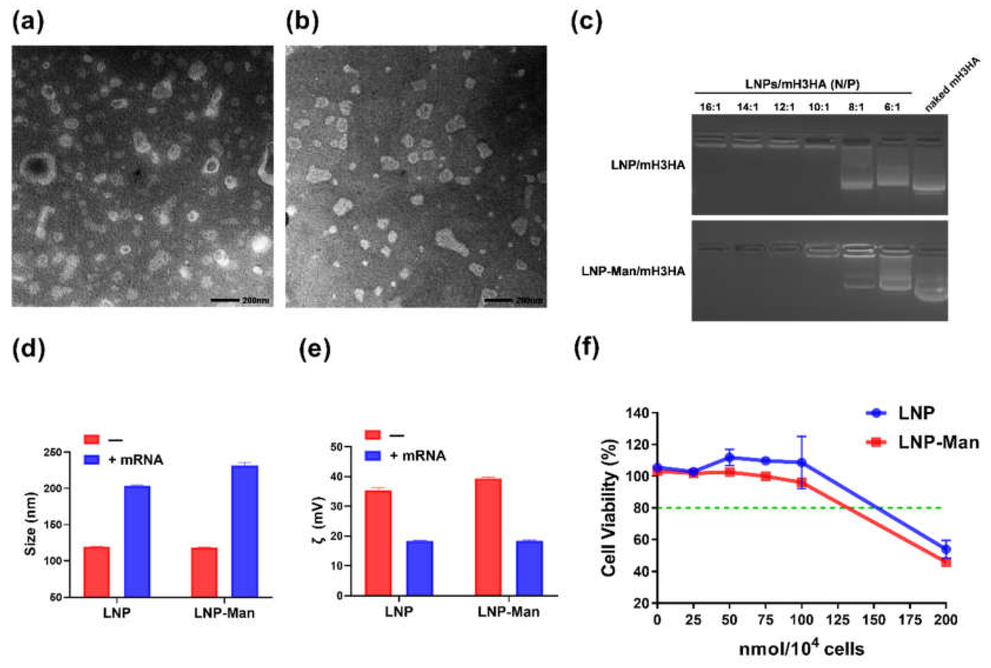 Vaccines 08 00123 g002