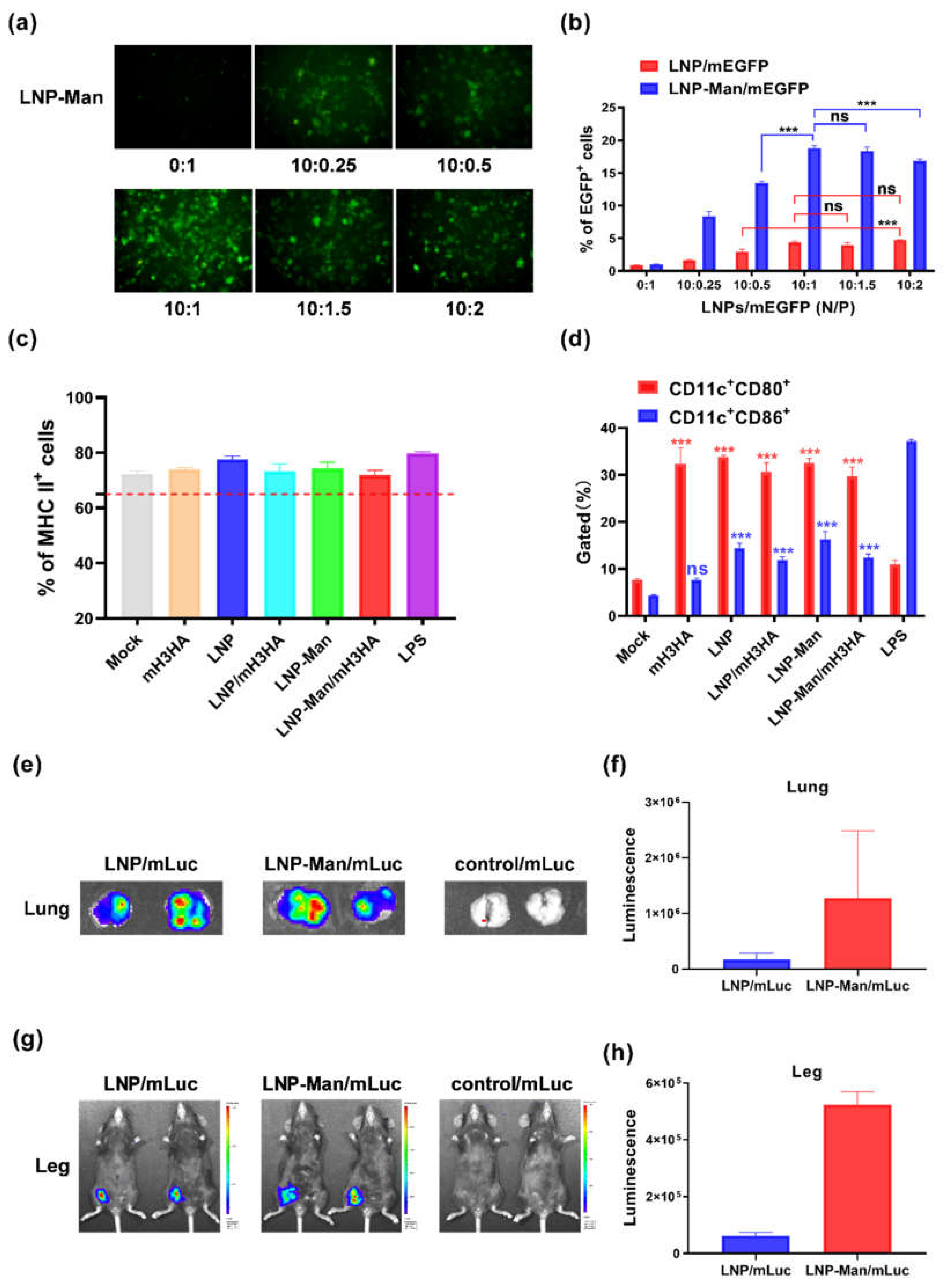 Vaccines 08 00123 g003