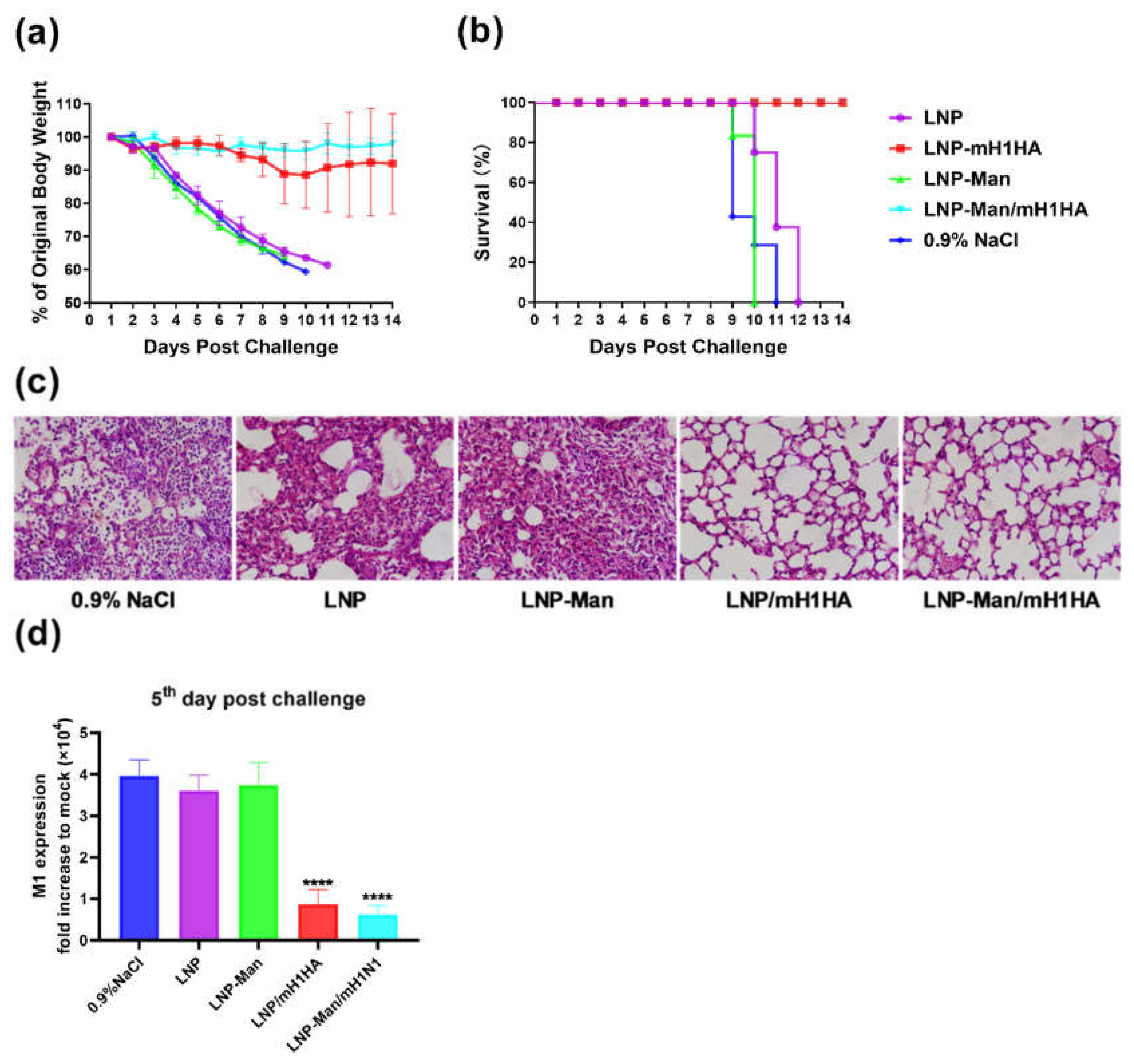 Vaccines 08 00123 g006