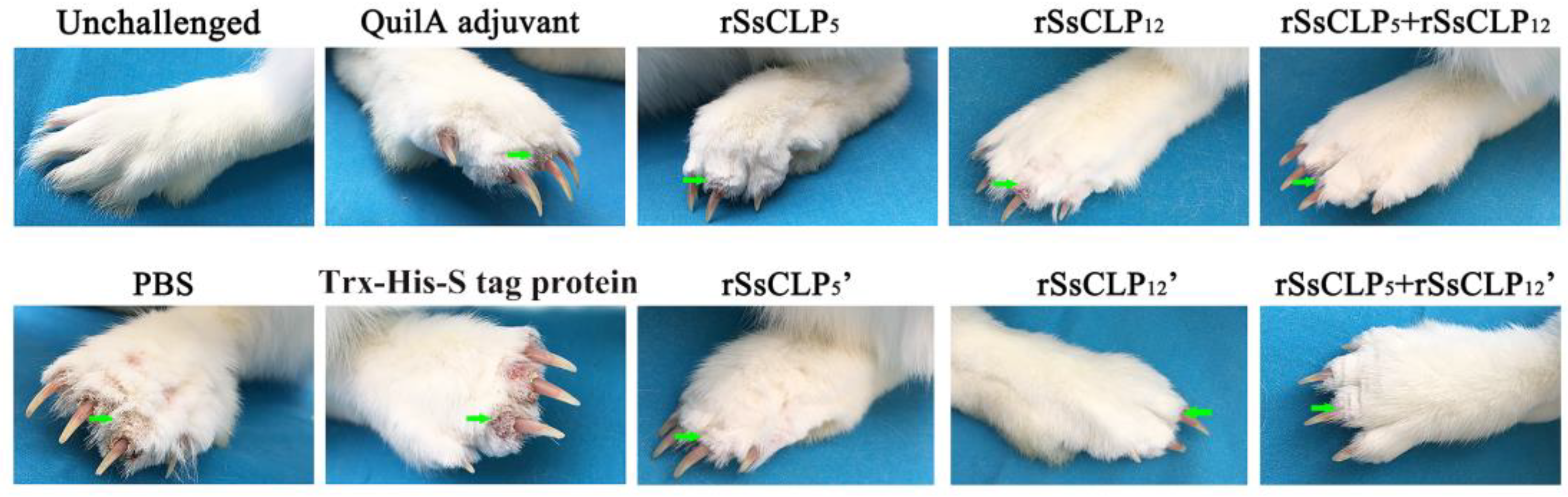Vaccines 08 00129 g002
