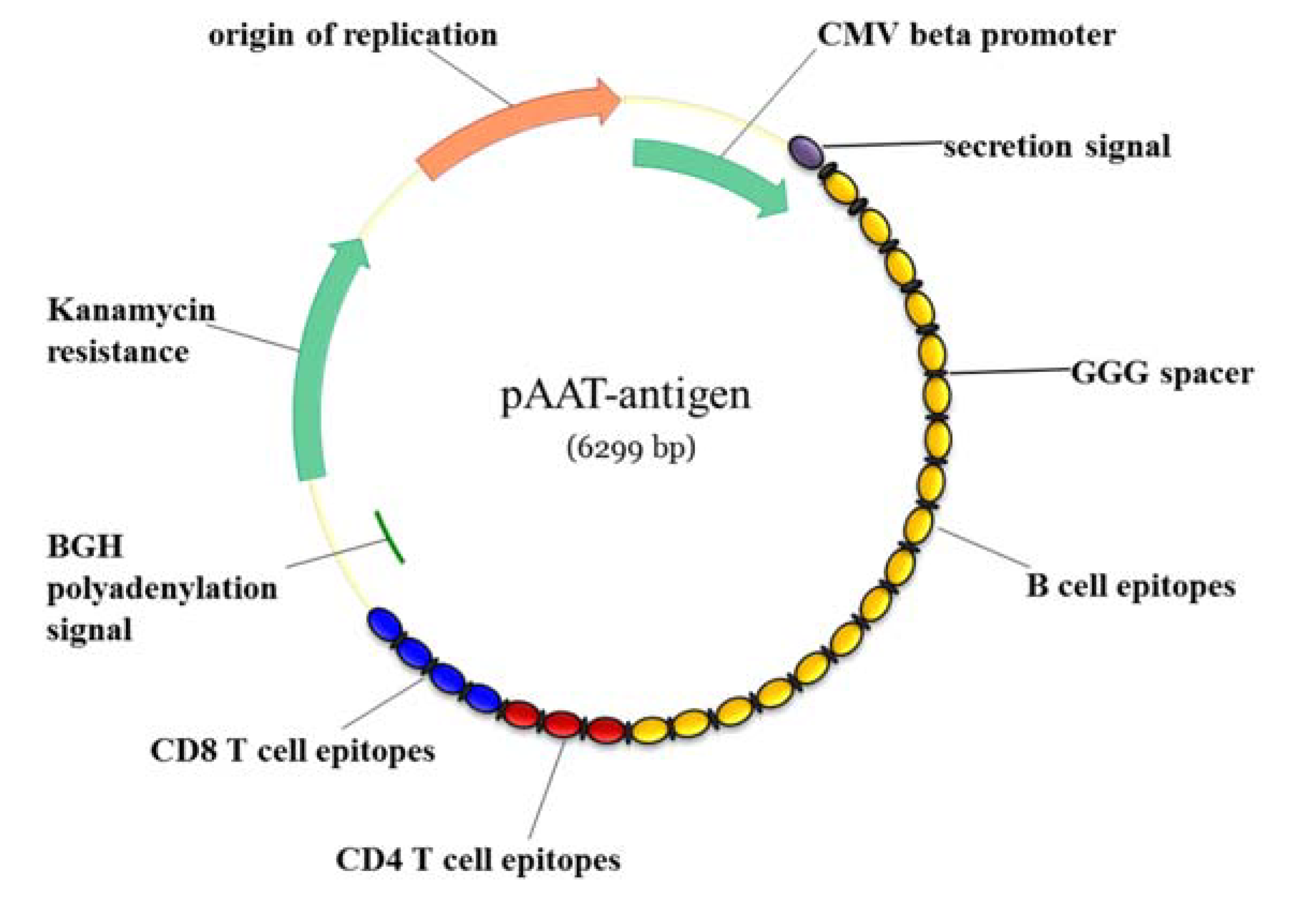 Vaccines 08 00130 g002 Vaccines 08 00130 g002
