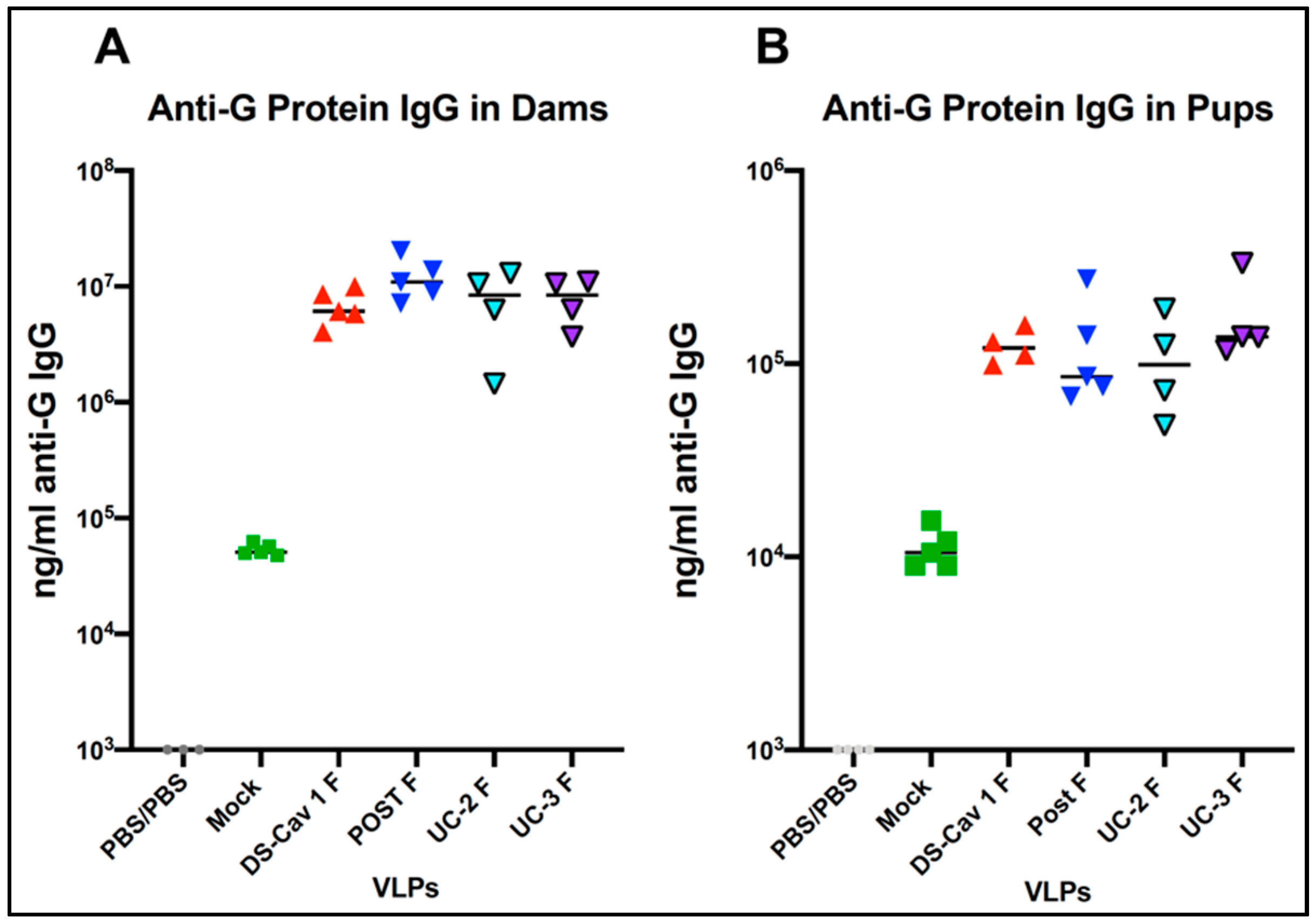 Vaccines 08 00133 g004