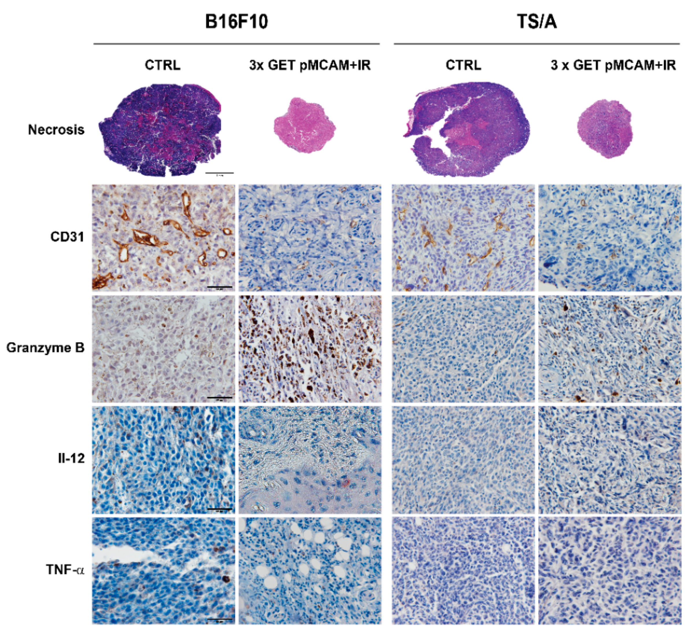 Vaccines 08 00135 g006 Vaccines 08 00135 g006