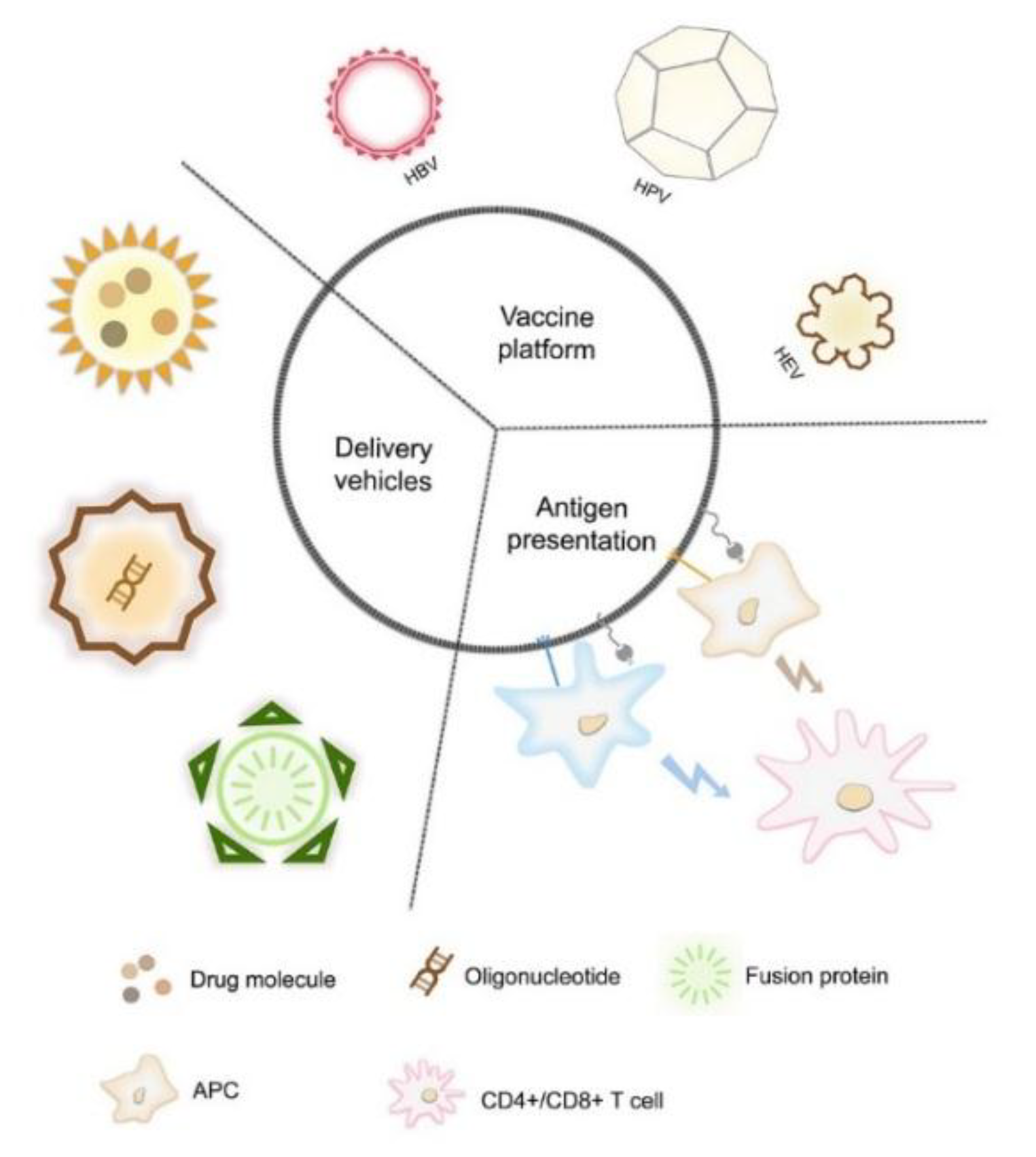 Vaccines | Free Full-Text | Recent Progress on the Versatility of Virus-Like Particles Vaccines | Free Full-Text | Recent Progress on the Versatility of Virus-Like Particles