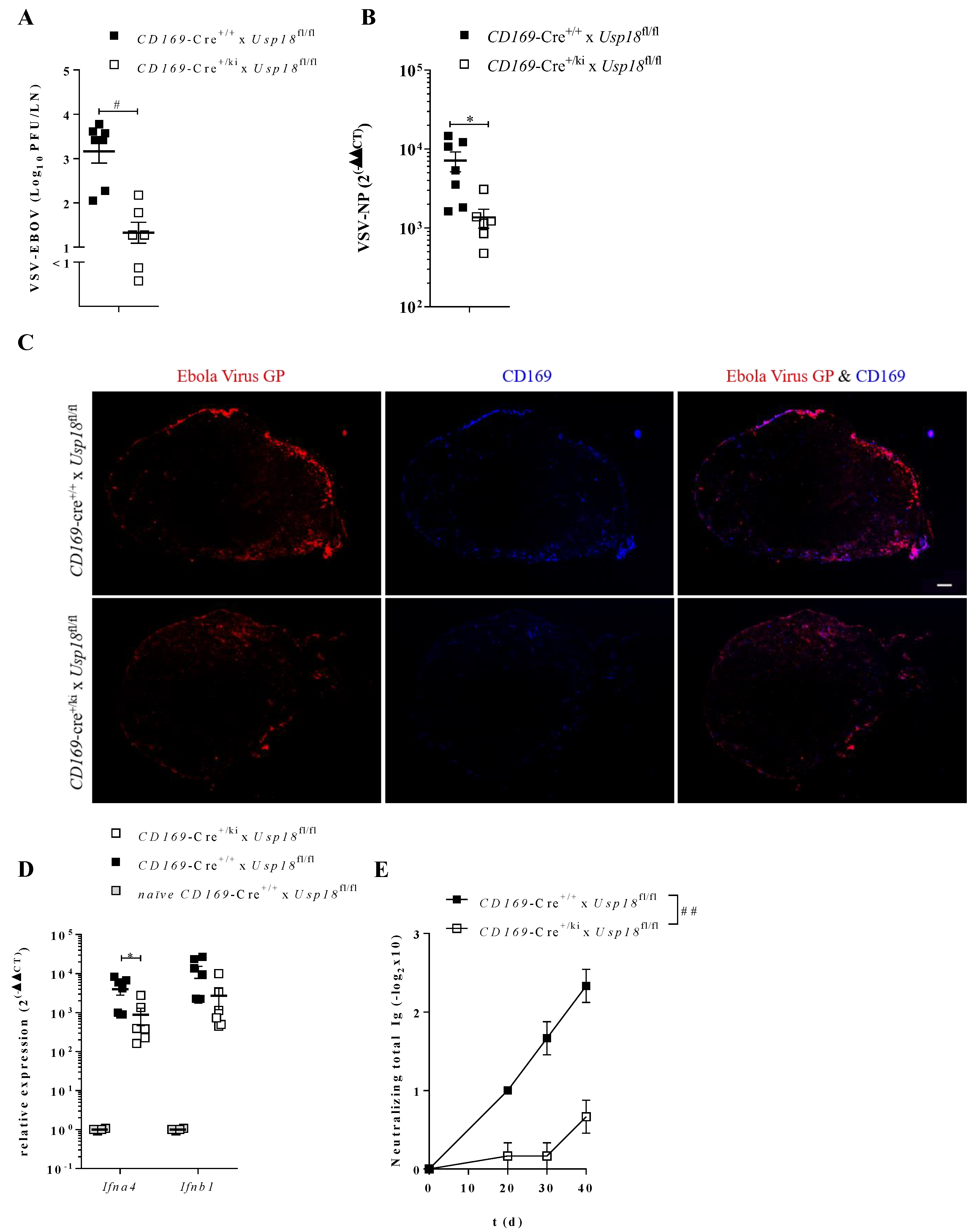 Vaccines 08 00142 g004 Vaccines 08 00142 g004