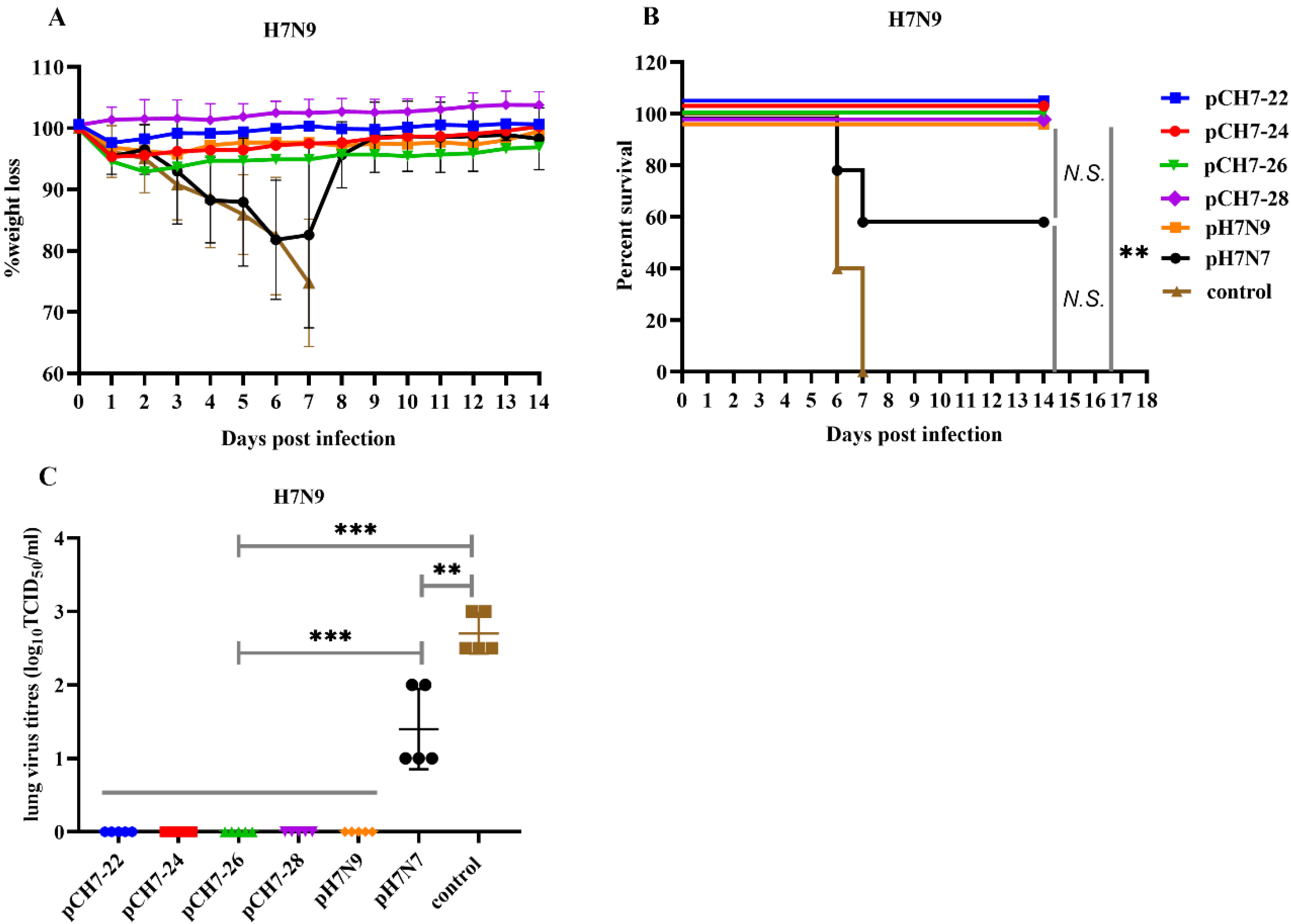 Vaccines 08 00143 g007