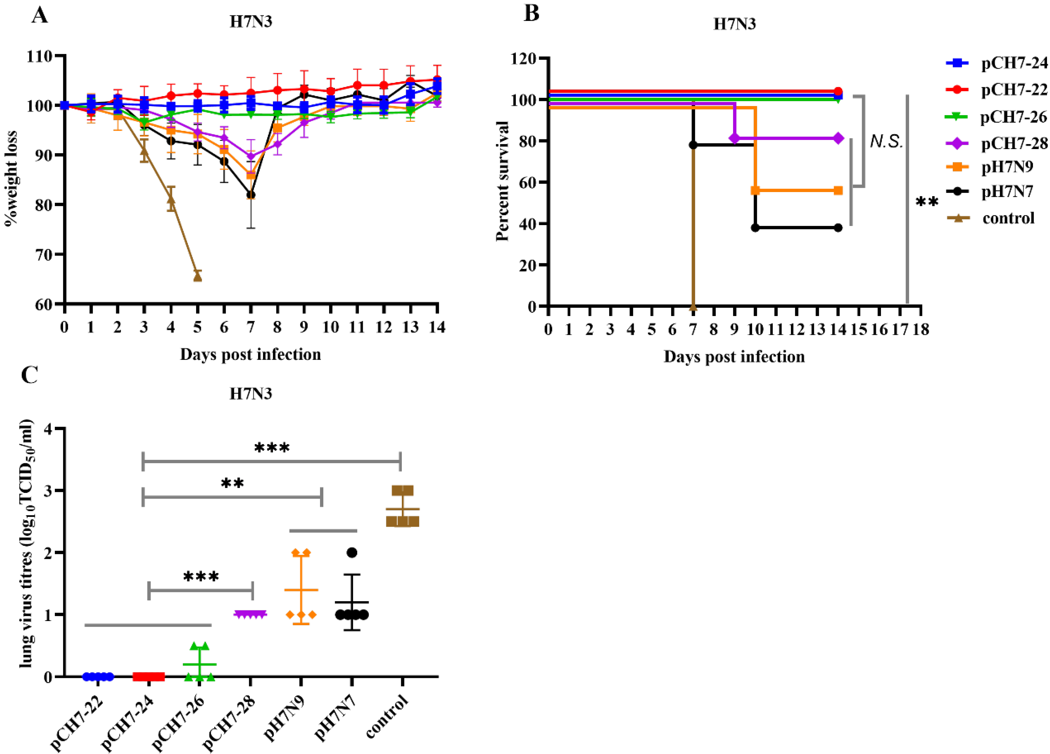 Vaccines 08 00143 g008