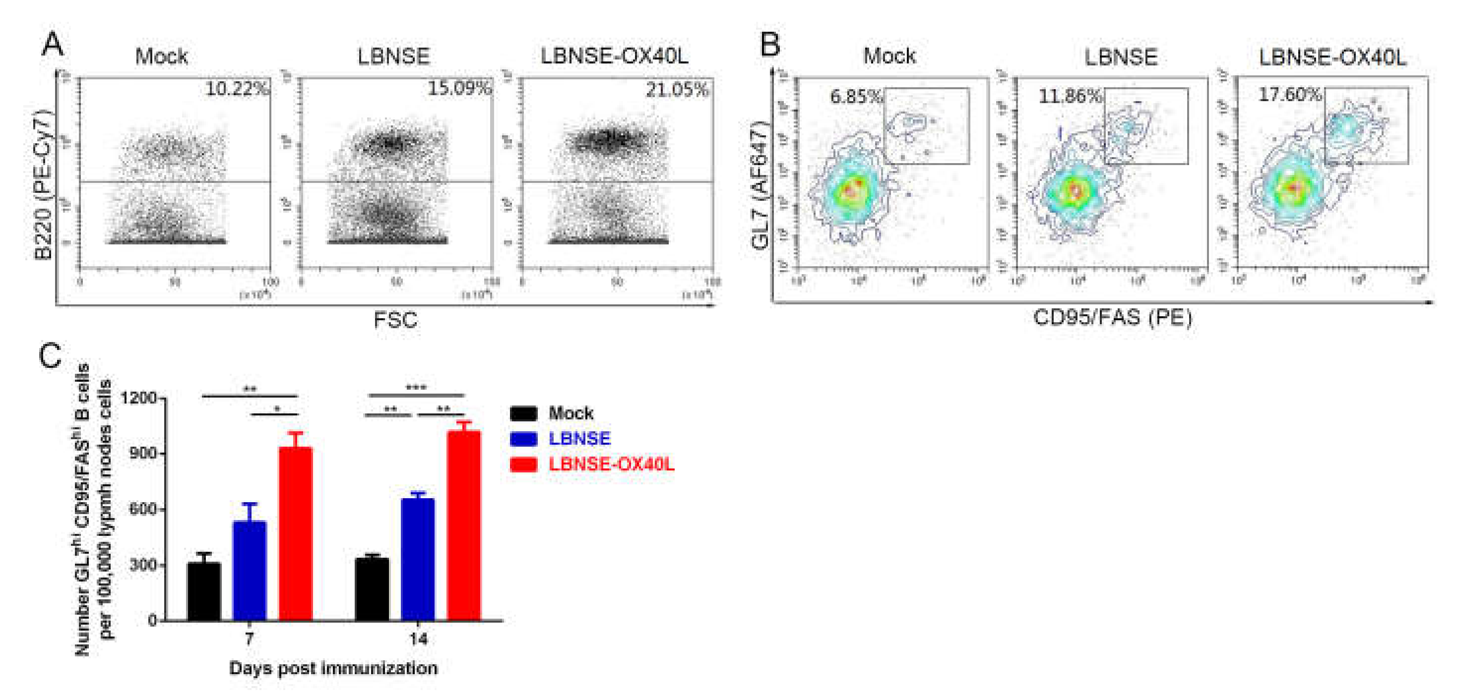 Vaccines 08 00144 g004