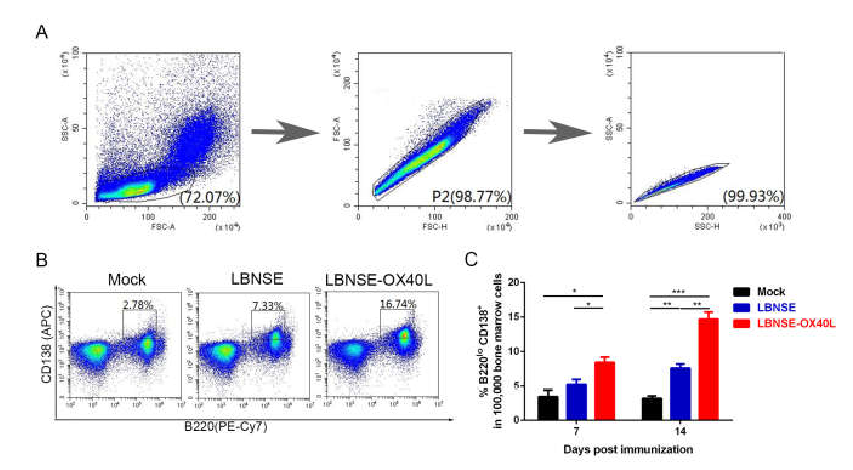 Vaccines 08 00144 g005